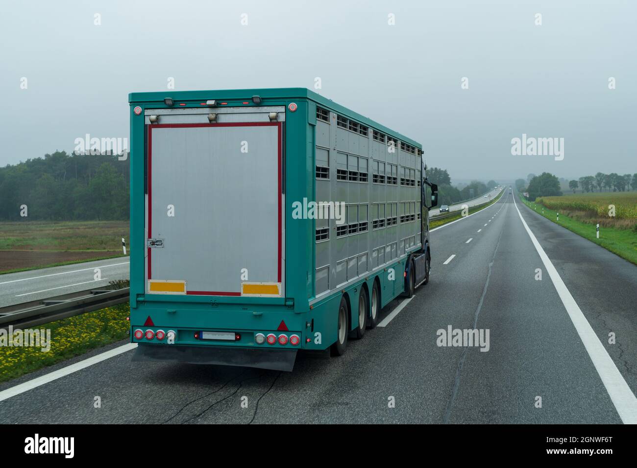 Un autocarro per bestiame su un'autostrada tedesca Foto Stock