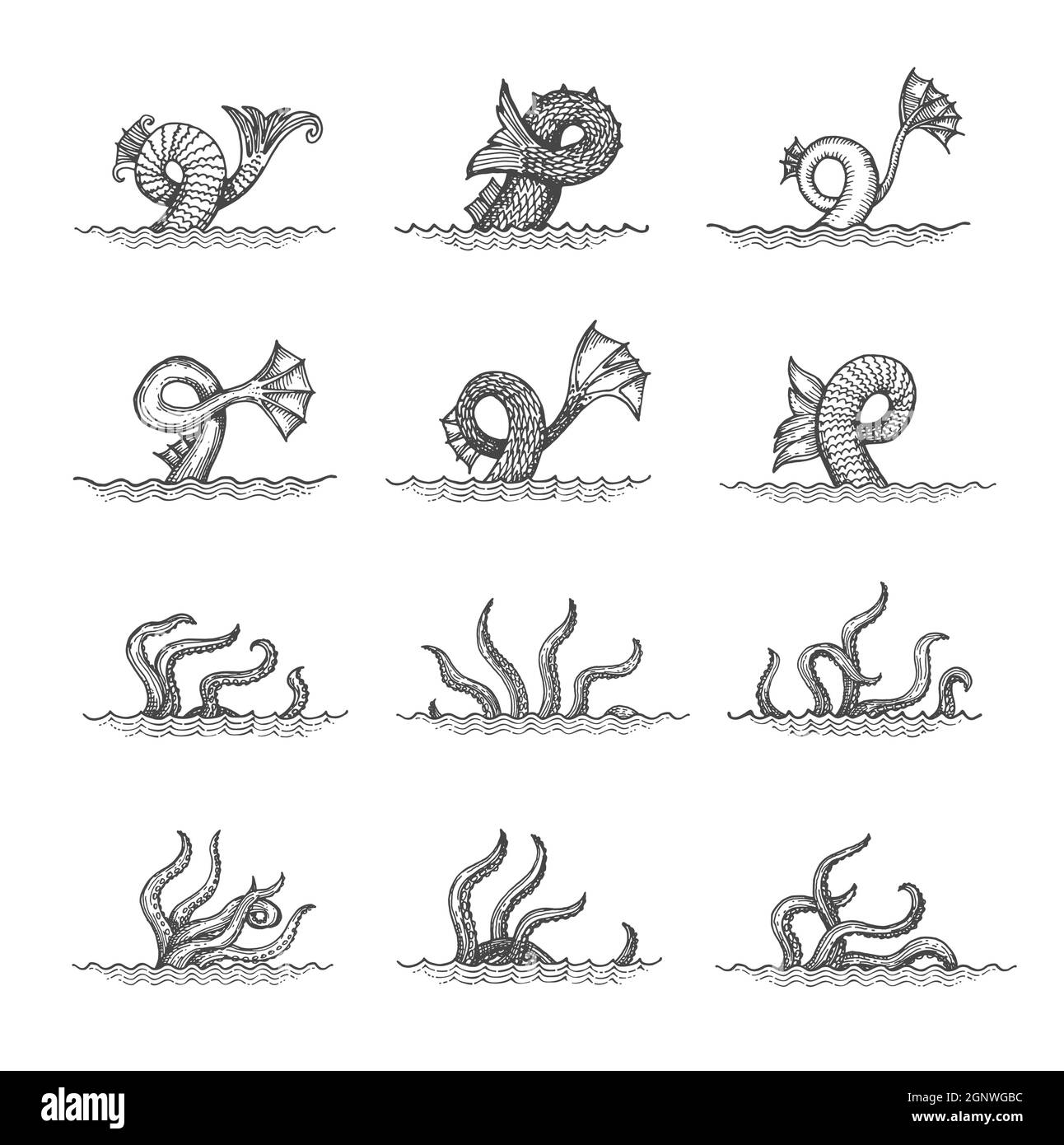 I tentacoli del polpo disegnano, la coda di kraken del mostro o i palpi ondeggianti del calamaro in mare. Creatura fantasy vettoriale, incisa cephalopod braccio cthulhu retrò. Tastatori animali subacquei isolati su bianco. Elementi della mappa Illustrazione Vettoriale