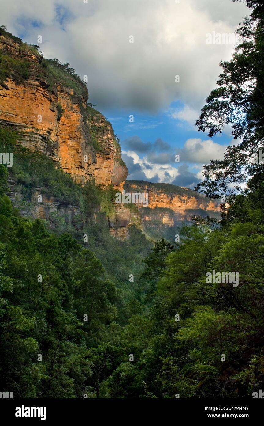 Valle delle acque, Blue Mountains, NSW, Australia, Credit:Chris L Jones / Avalon Foto Stock