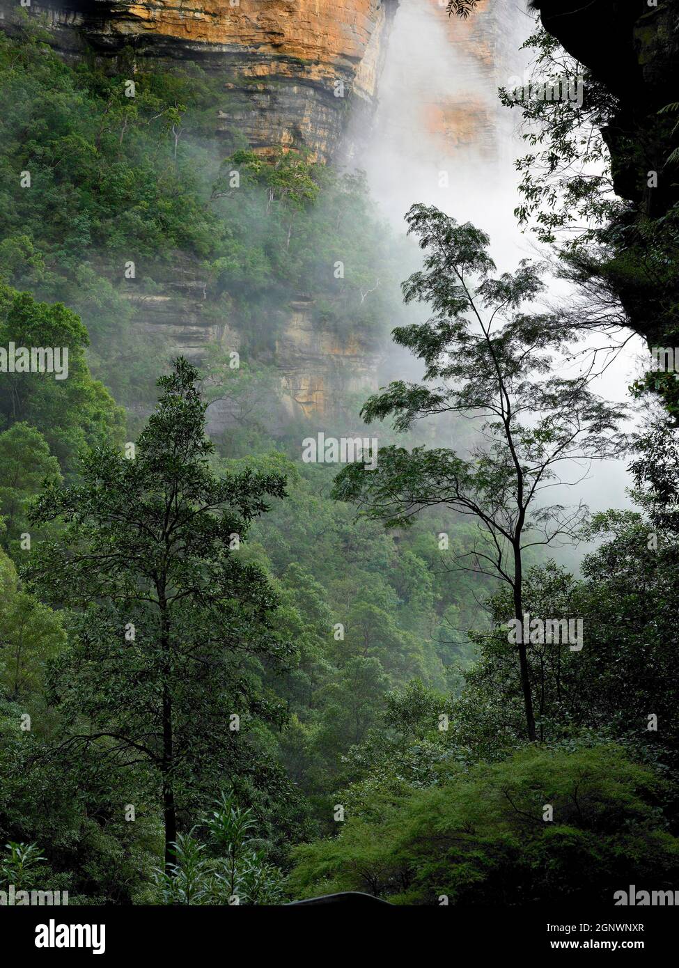 Valle delle acque, Blue Mountains, NSW, Australia, Credit:Chris L Jones / Avalon Foto Stock