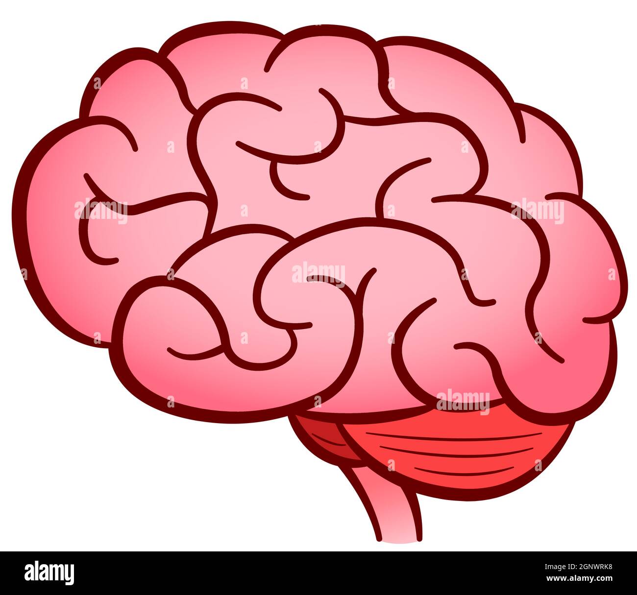 Disegno isolato di cervello umano vettoriale Illustrazione Vettoriale