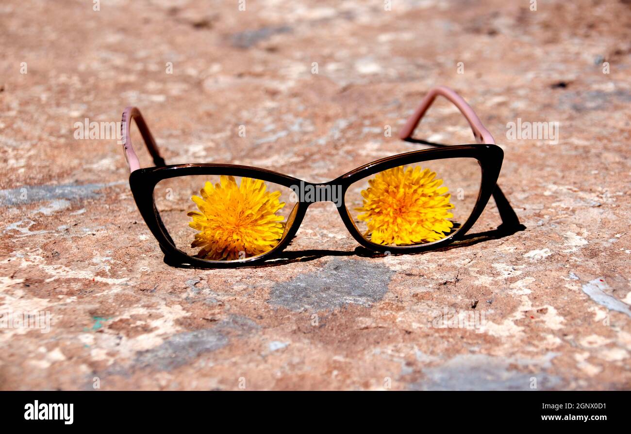 I bicchieri sono sul cemento e fiori di dente di leone sono visibili attraverso le lenti. Foto Stock