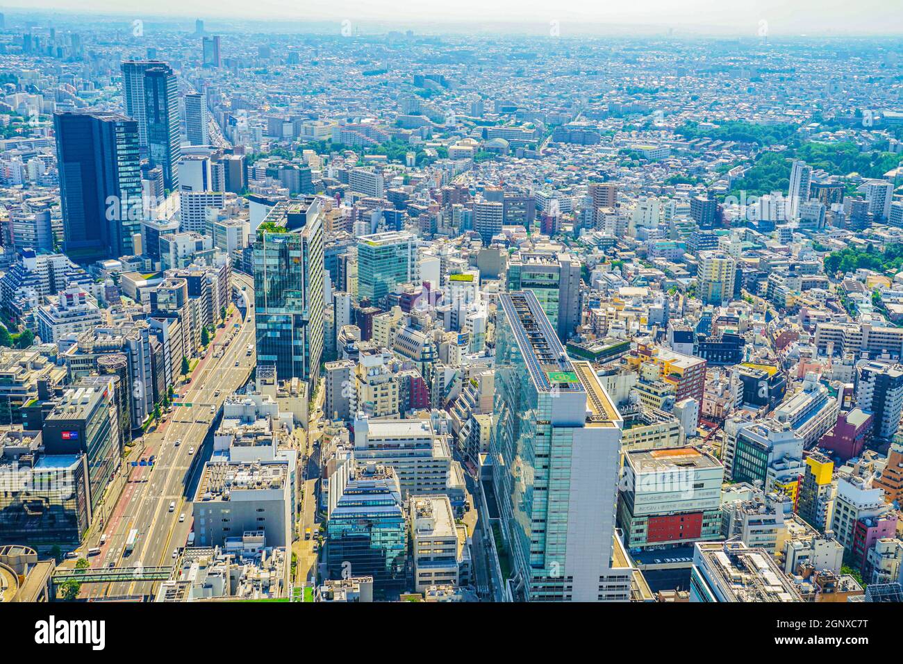 Skyline di Tokyo visto dal cielo di Shibuya. Luogo di ripresa: Area metropolitana di Tokyo Foto Stock