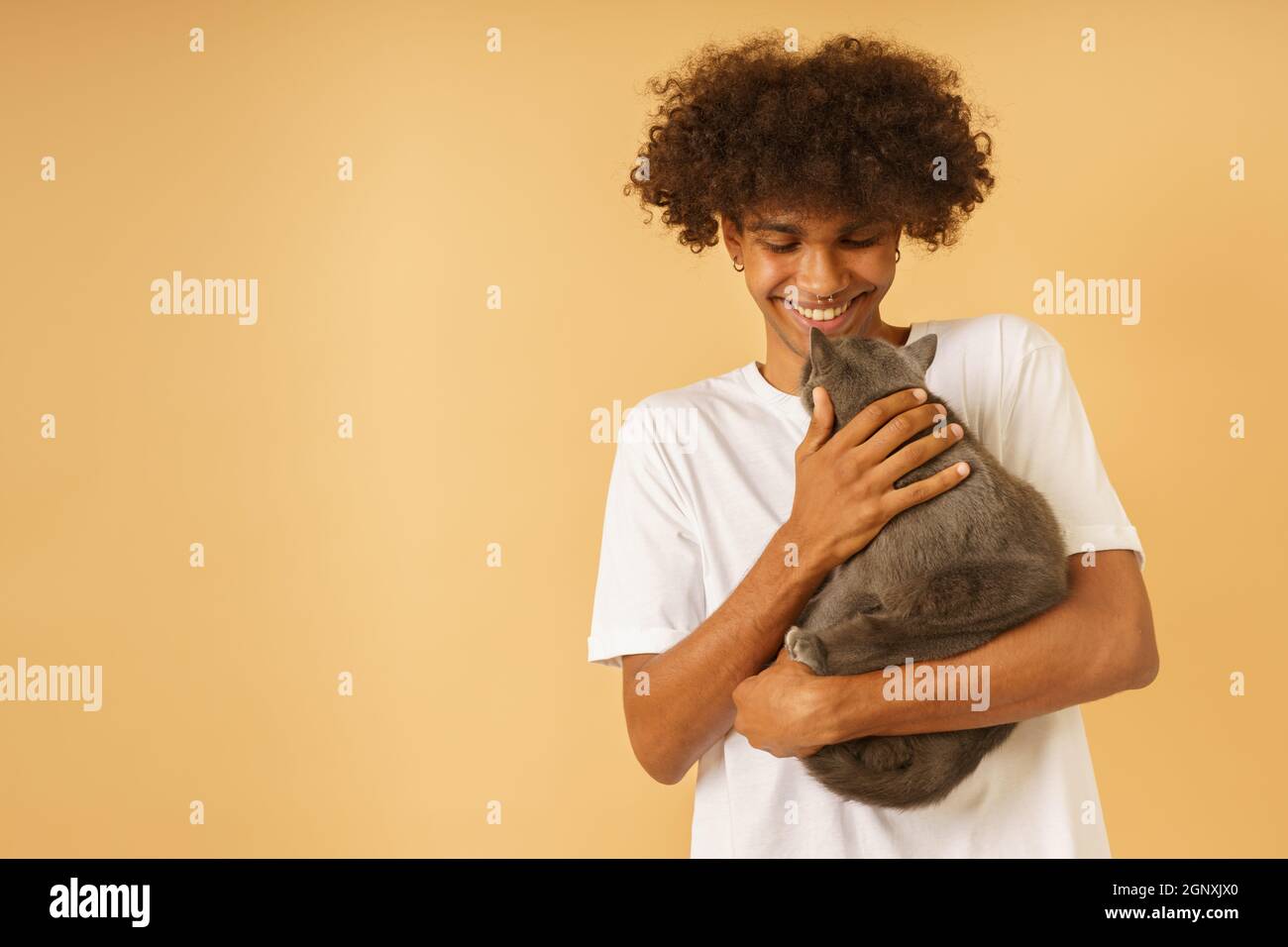 L'uomo felice si prende cura del suo gatto grigio Foto Stock