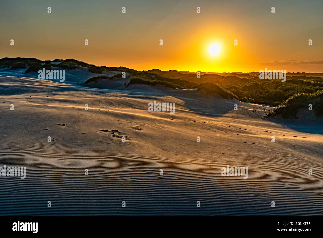 Dune di sabbia commoventi nel deserto danese al tramonto. Råbjerg Mile, Skagen, Danimarca, Europa Foto Stock