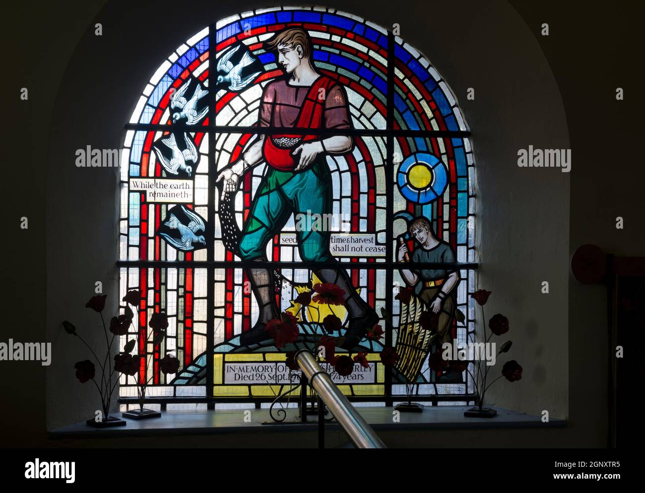 Il vetro colorato del seminatore, Chiesa di St. Leonard, Wigginton, Staffordshire, Inghilterra, REGNO UNITO Foto Stock