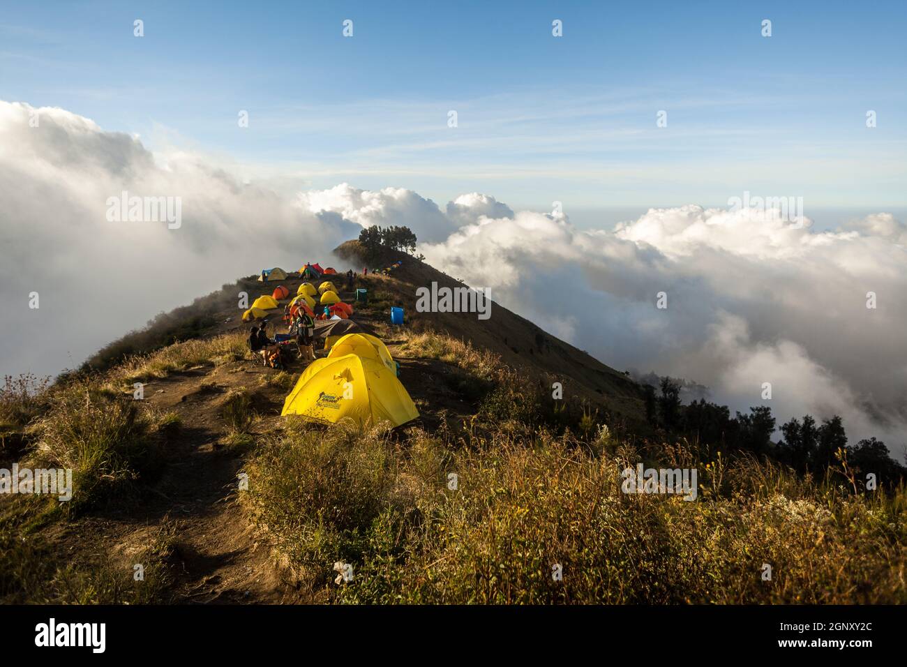 Accampamento in cima alla montagna. Trekking fino al Monte Rinjani, Lombok, Indonesia Foto Stock