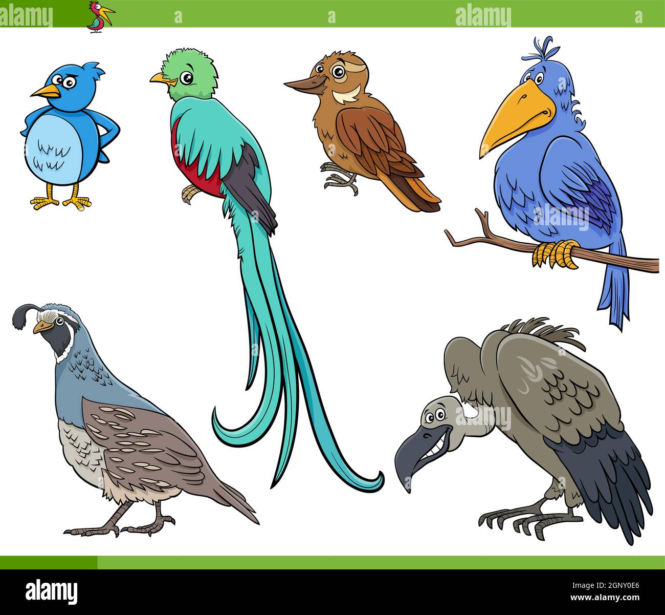 set di personaggi animali di specie di uccelli cartoon Illustrazione Vettoriale