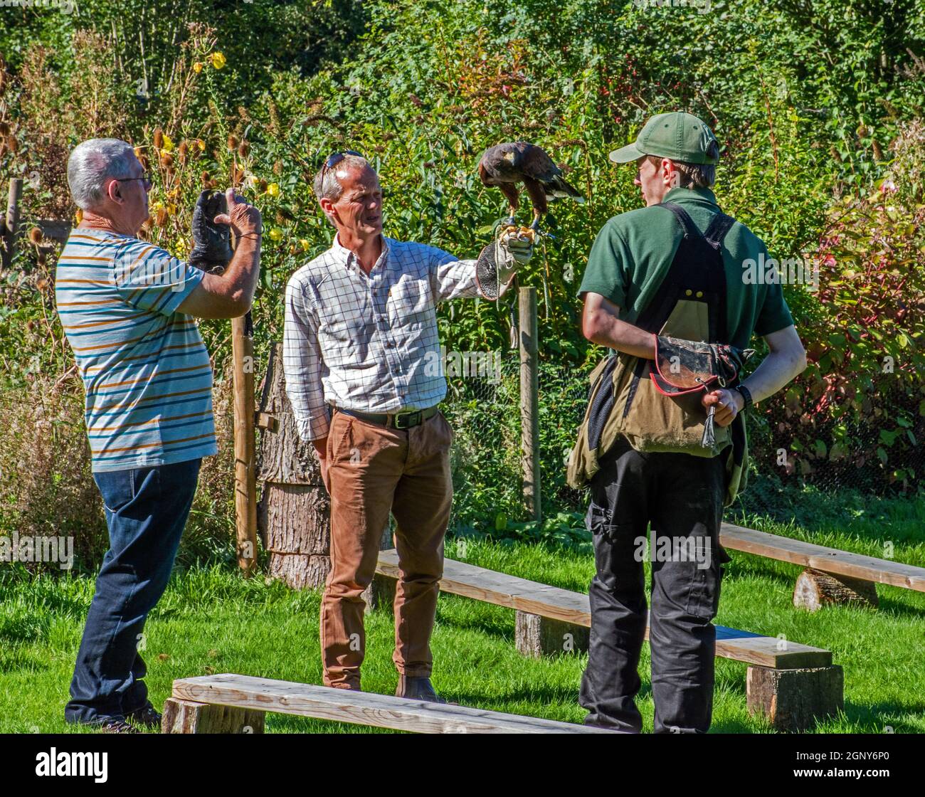 Giornata dell'esperienza Bird of Prey Foto Stock