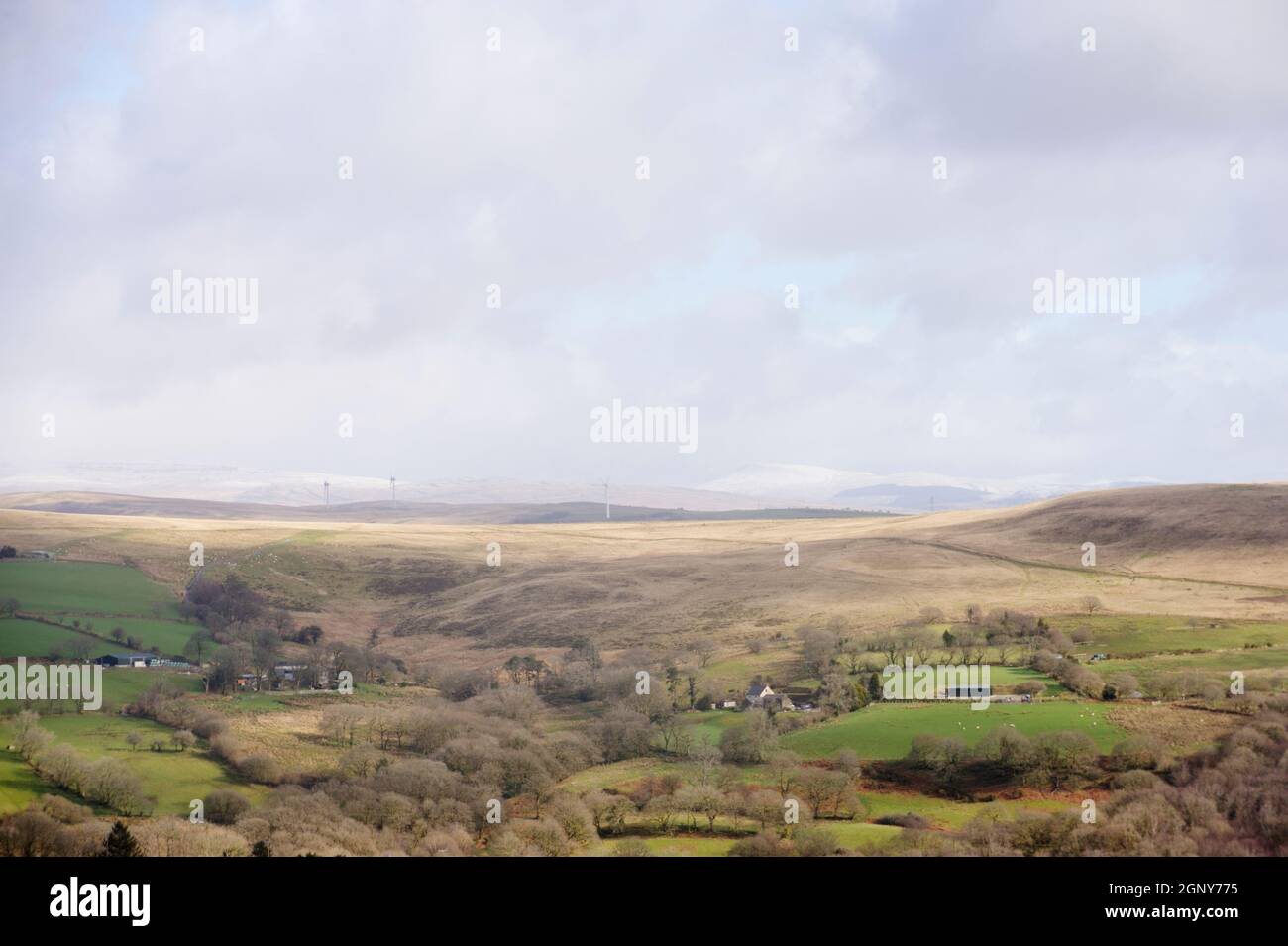 Valle di Clydach superiore, terra pastorale agricola con bosco adiacente al brughiera con turbine eoliche e silvicoltura commerciale, Galles, Regno Unito Foto Stock