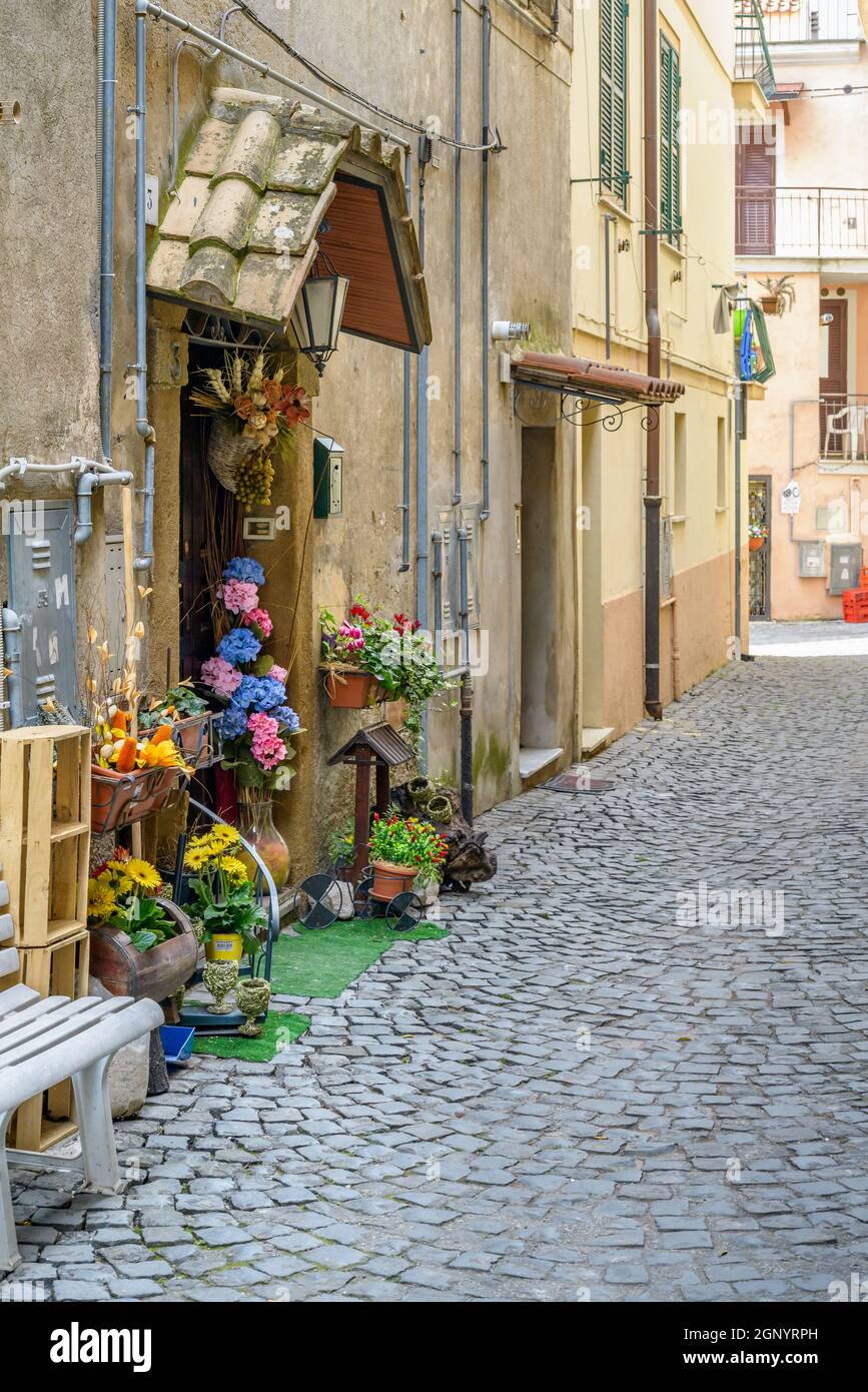 Nice village street con fiori in Italia vicino Roma Foto Stock