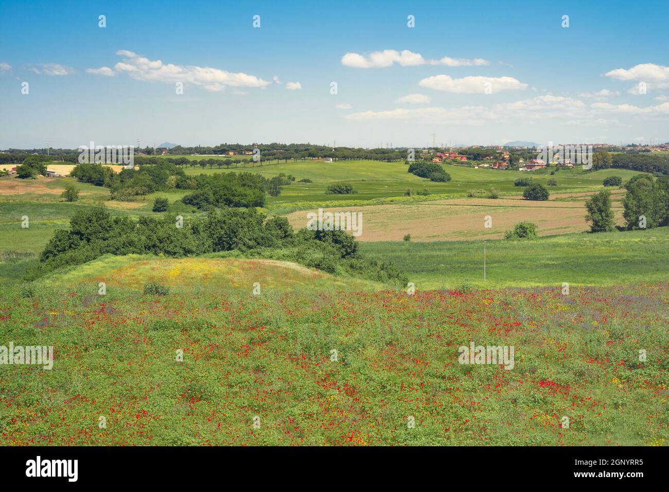 Campagna italiana campo verde appena fuori Roma Foto Stock