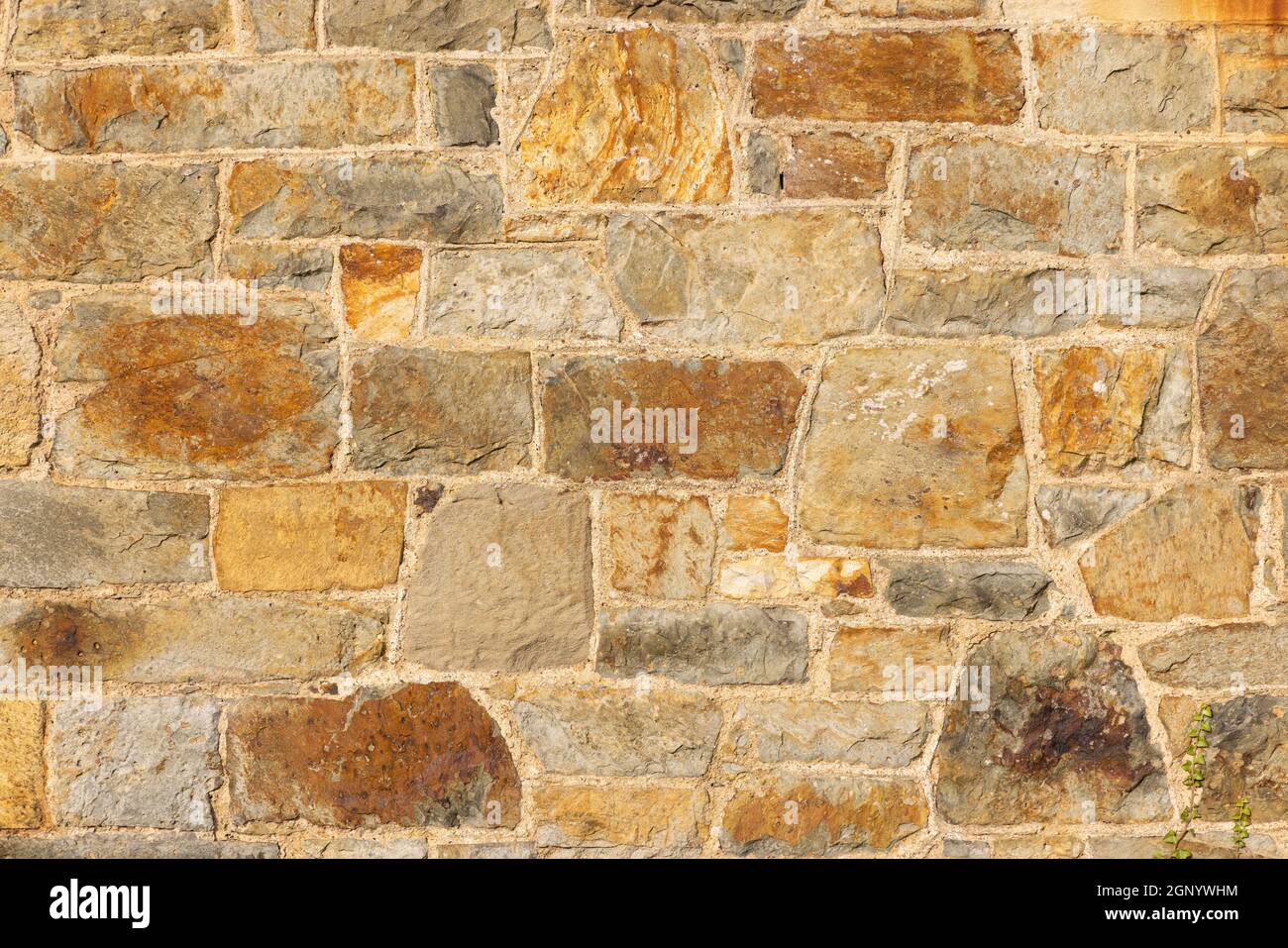 Primo piano di un muro di pietra in pietra gallese. Foto Stock
