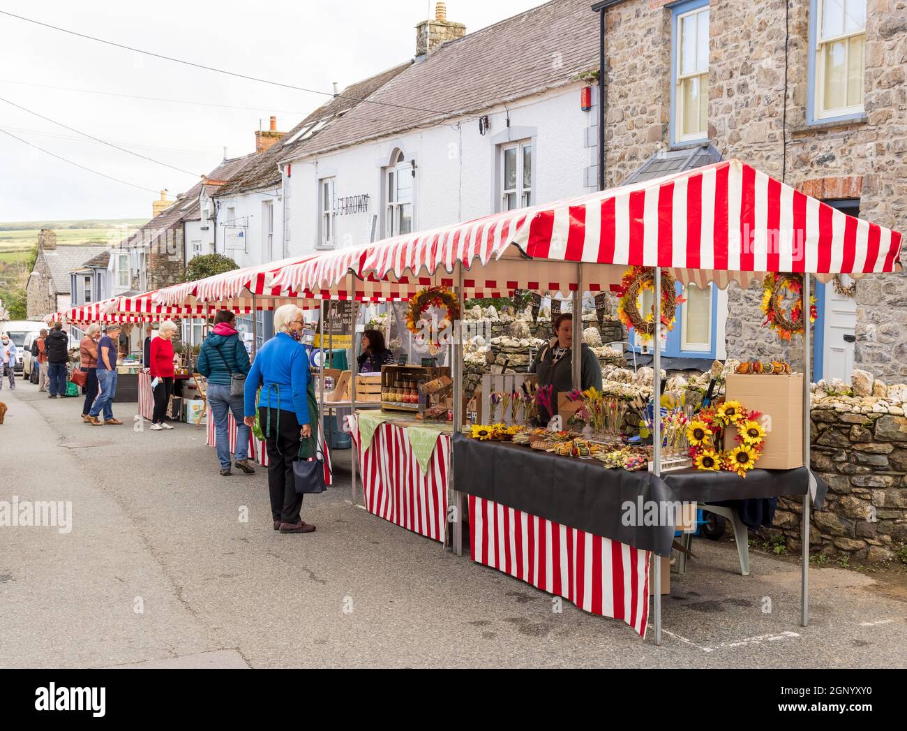 Bancarelle il giorno del mercato in Market Street (Heol Y Farchnad) a Newport, Pembrokeshire, Galles. REGNO UNITO Foto Stock