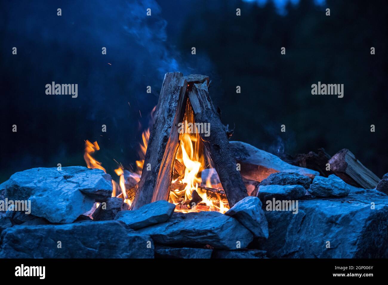 Forest falò in estate, camping il tempo con gli amici. Copia dello spazio. Foto Stock