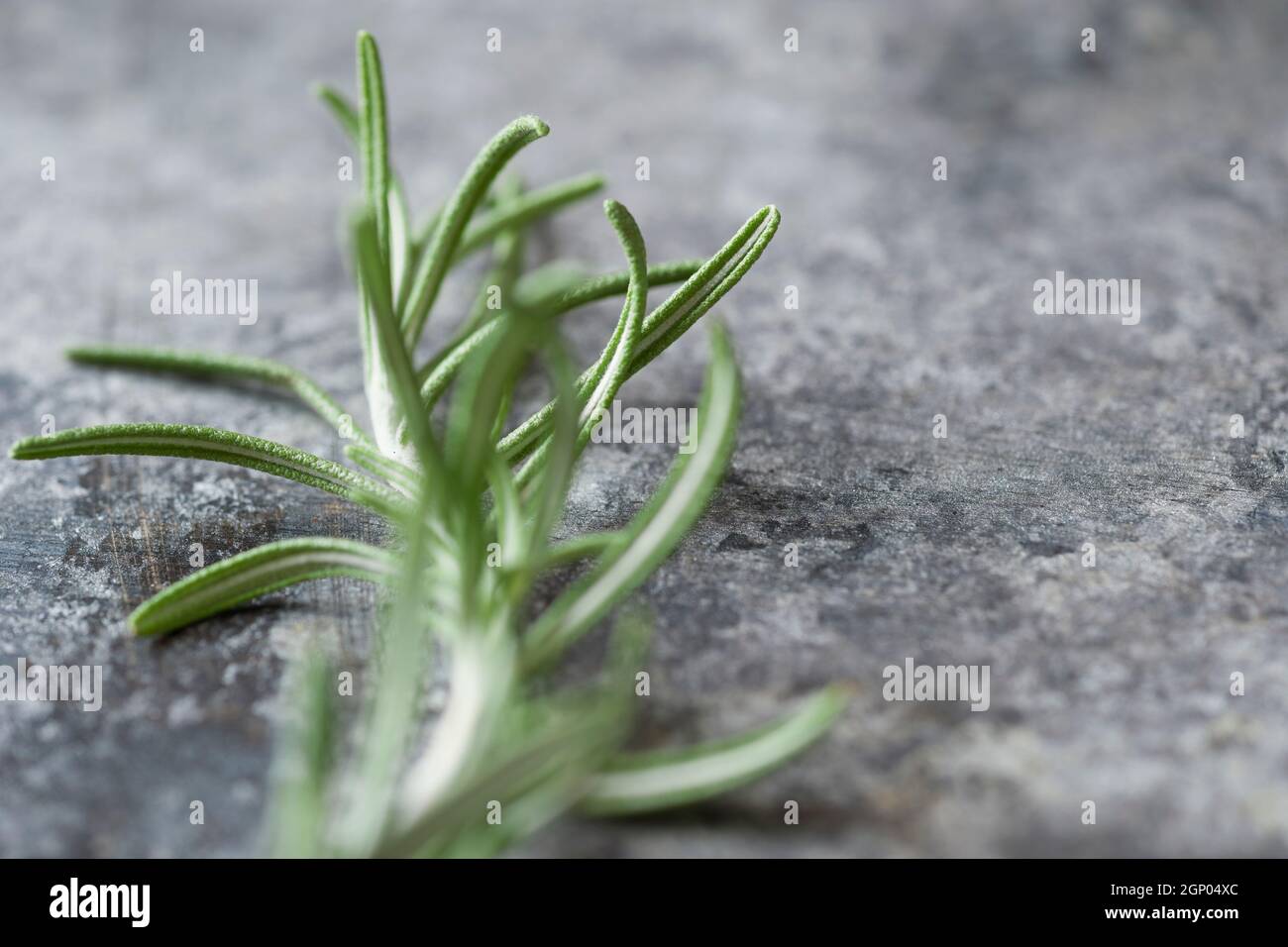 primo piano di rosmarino erbe aromatiche fondo alimentare Foto Stock