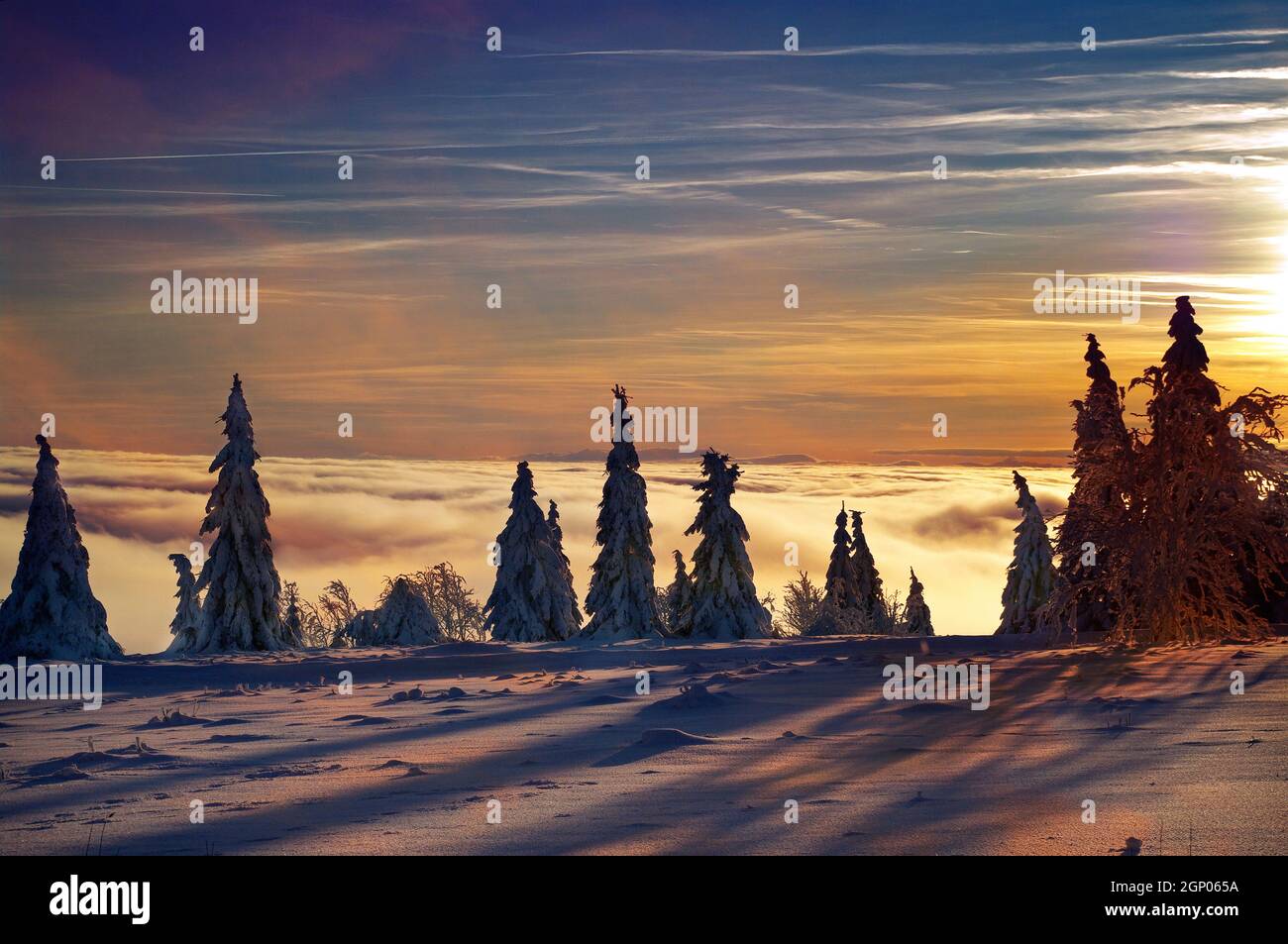 Schneebedeckte Bäume auf dem Kahlen Asten im Rothaargebirge im Abendlicht mit Wolken, die sich am Berg stauen. Der Kahle Asten im Astenmassiv ist der Foto Stock