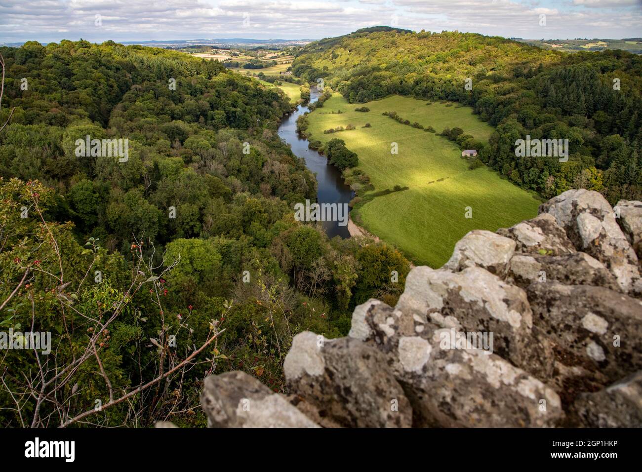 Symonds Yat Foresta di Dean Foto Stock