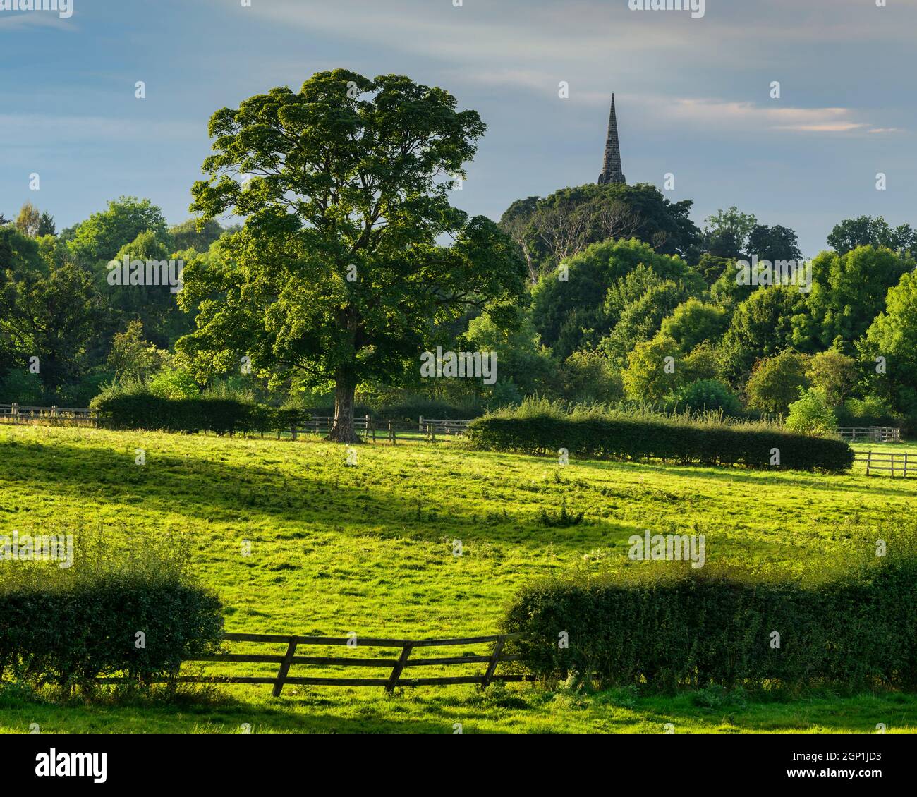 Pacifica campagna pastorale Wharfedale (terreni agricoli e alberi illuminati dal sole, pascoli, cielo blu estivo serale, chiesa del villaggio) - West Yorkshire, Inghilterra, Regno Unito. Foto Stock