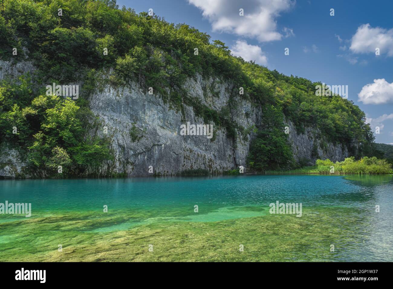 Alta scogliera coperta di alberi verdi con lago pulito e turchese sotto di esso. Parco Nazionale dei Laghi di Plitvice Patrimonio dell'Umanità dell'UNESCO, Croazia Foto Stock