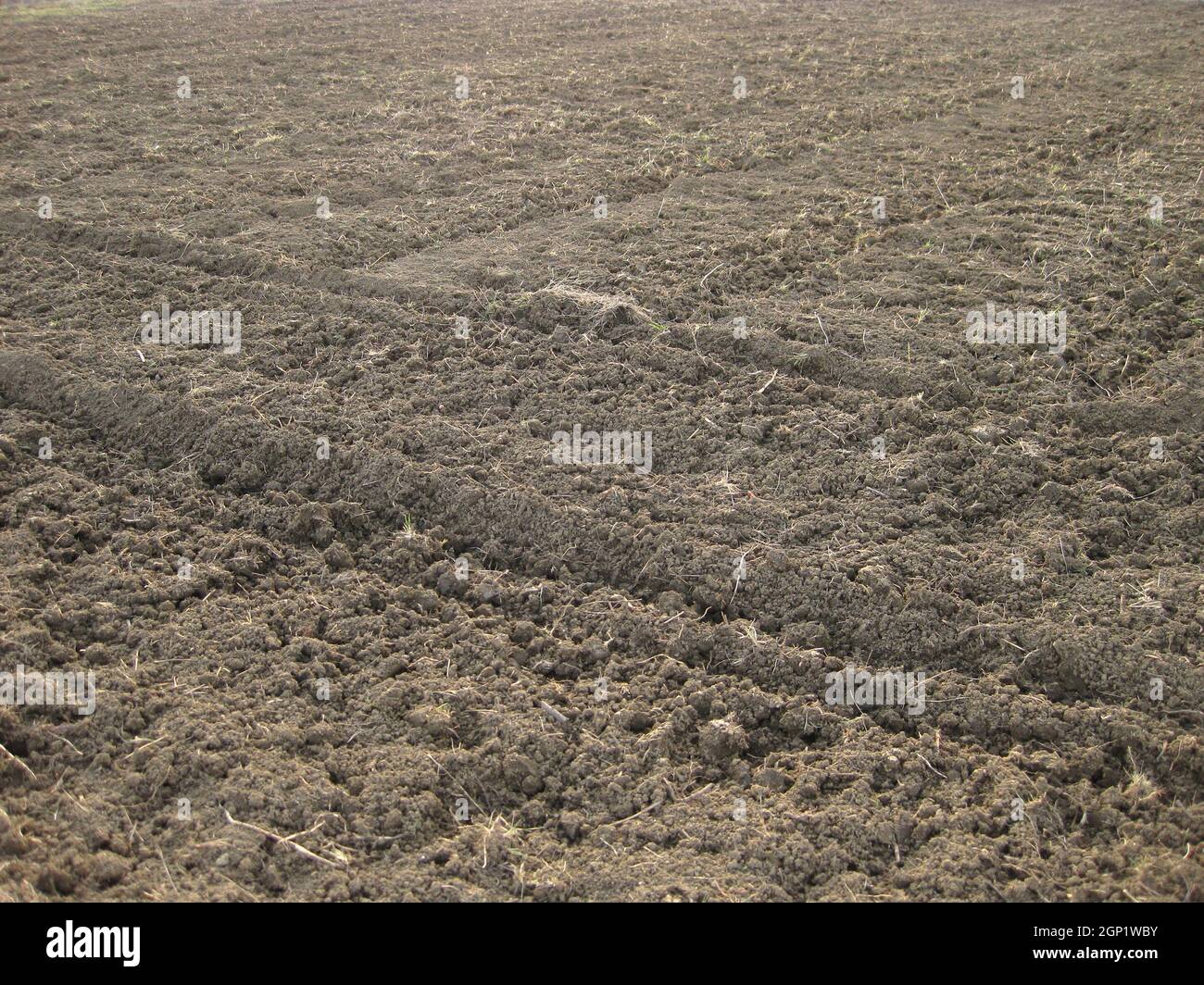 Erpice a dischi aratro il giardino. Infield privato. La cura per il suolo. Preparazione per la semina. Foto Stock