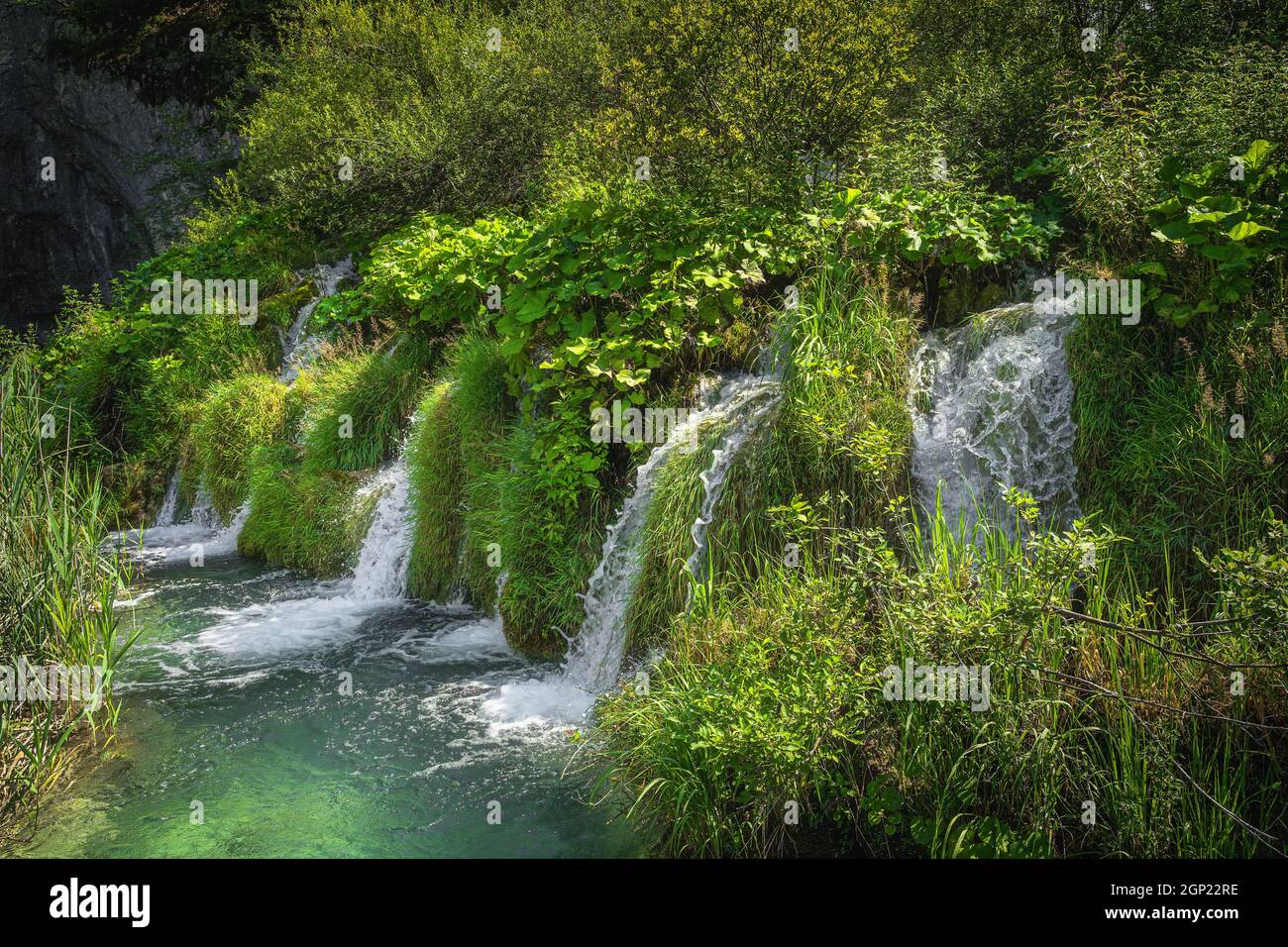 Cascate d'acqua circondate da un'erba alta che cade in un lago di colore turchese. Parco Nazionale dei Laghi di Plitvice Patrimonio dell'Umanità dell'UNESCO in Croazia Foto Stock