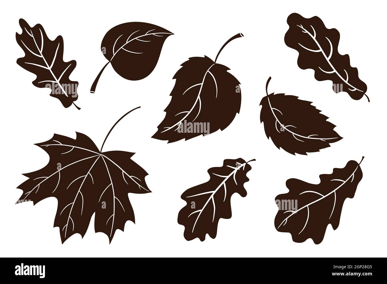 Set di silhouette per le vacanze autunnali. Collezione di piatti tradizionali della zucca del Ringraziamento. Torta di zucca dolce e cupcake ombre per adesivi, inviti, menu e decorazione biglietto d'auguri. Vettore Premium Illustrazione Vettoriale
