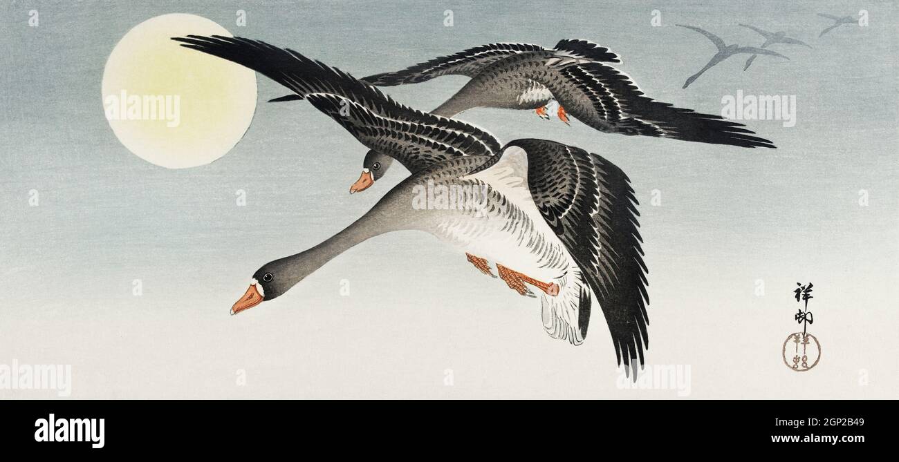 Uccelli in luna piena (1900 - 1936) di Ohara Koson (1877-1945). Foto Stock