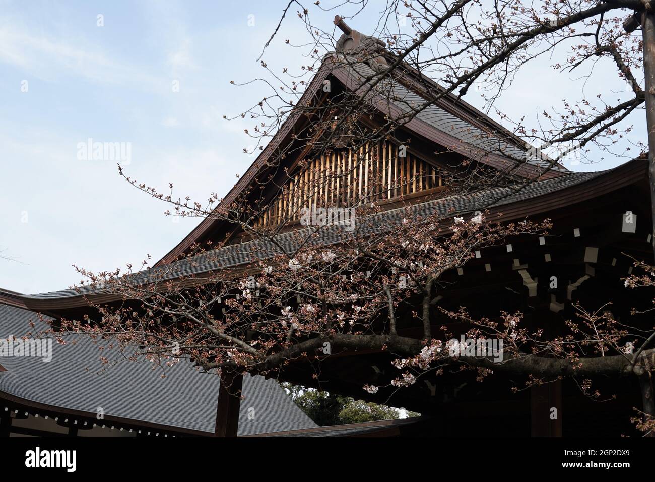 Santuario di immagine di Yasukuni. Luogo di tiro: Area metropolitana di Tokyo Foto Stock