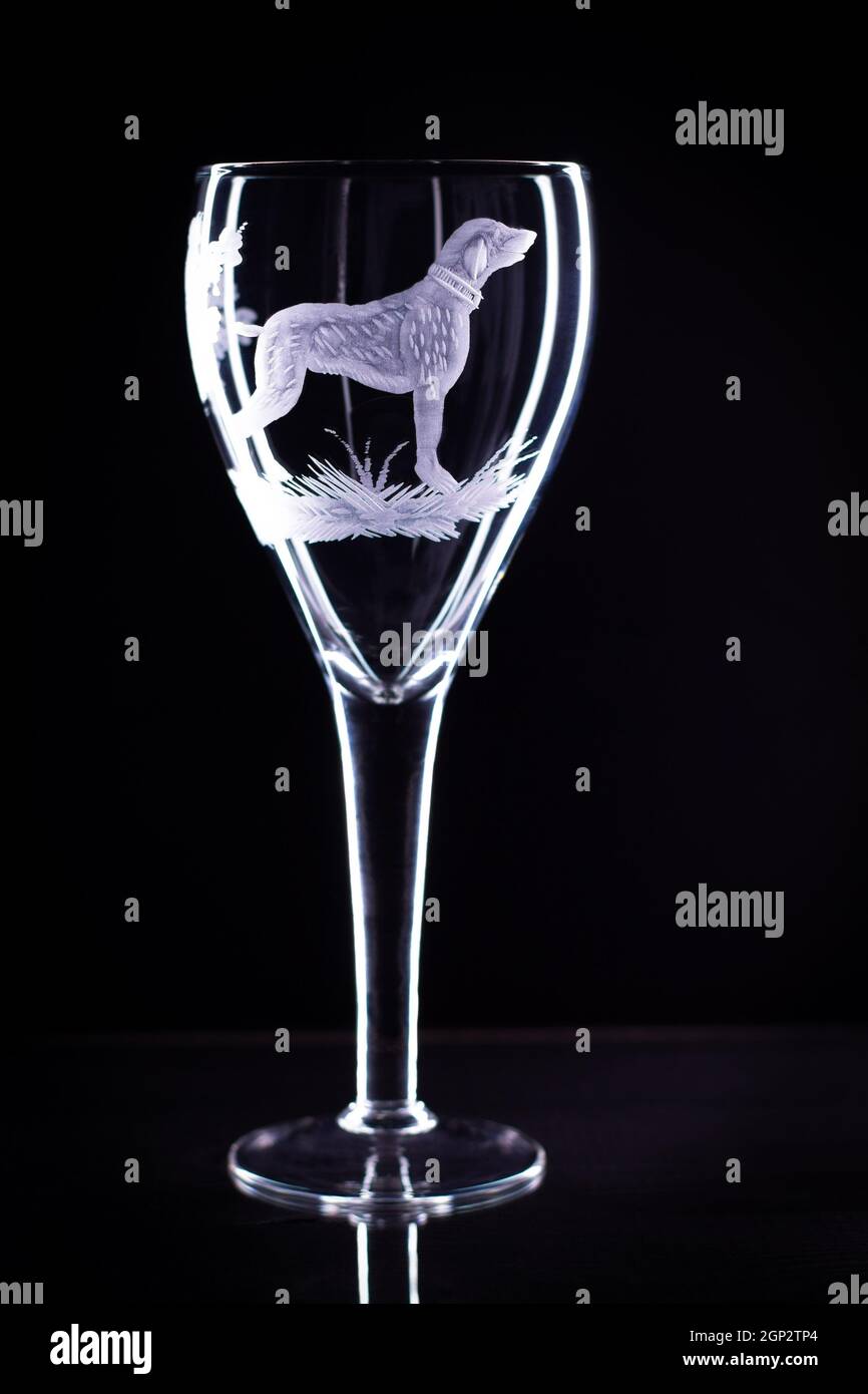Bicchiere di vino con un cane sabbiato su sfondo nero, spazio copia Foto Stock