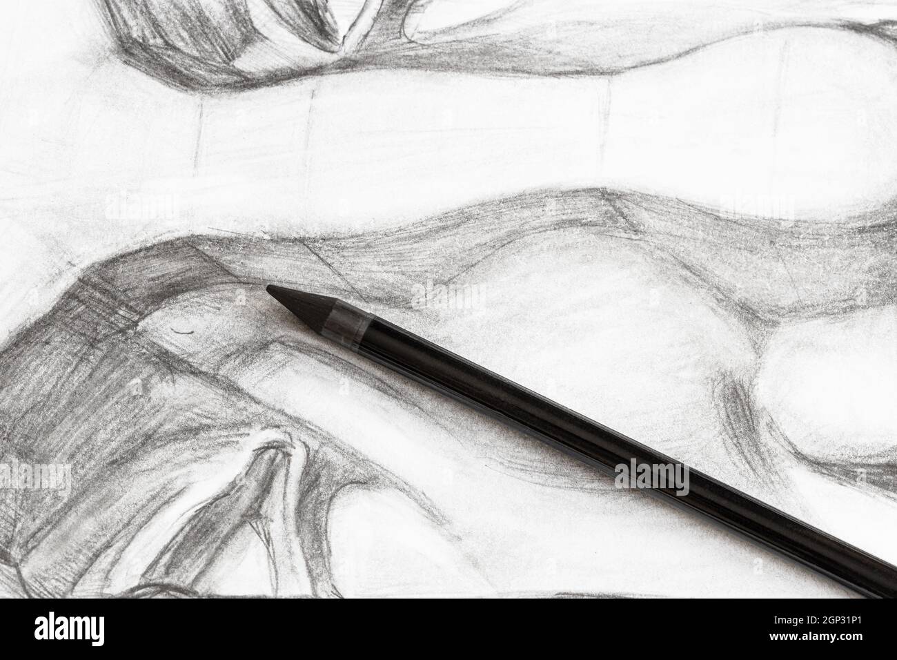matita di grafite su disegno accademico del naso maschile Foto stock - Alamy