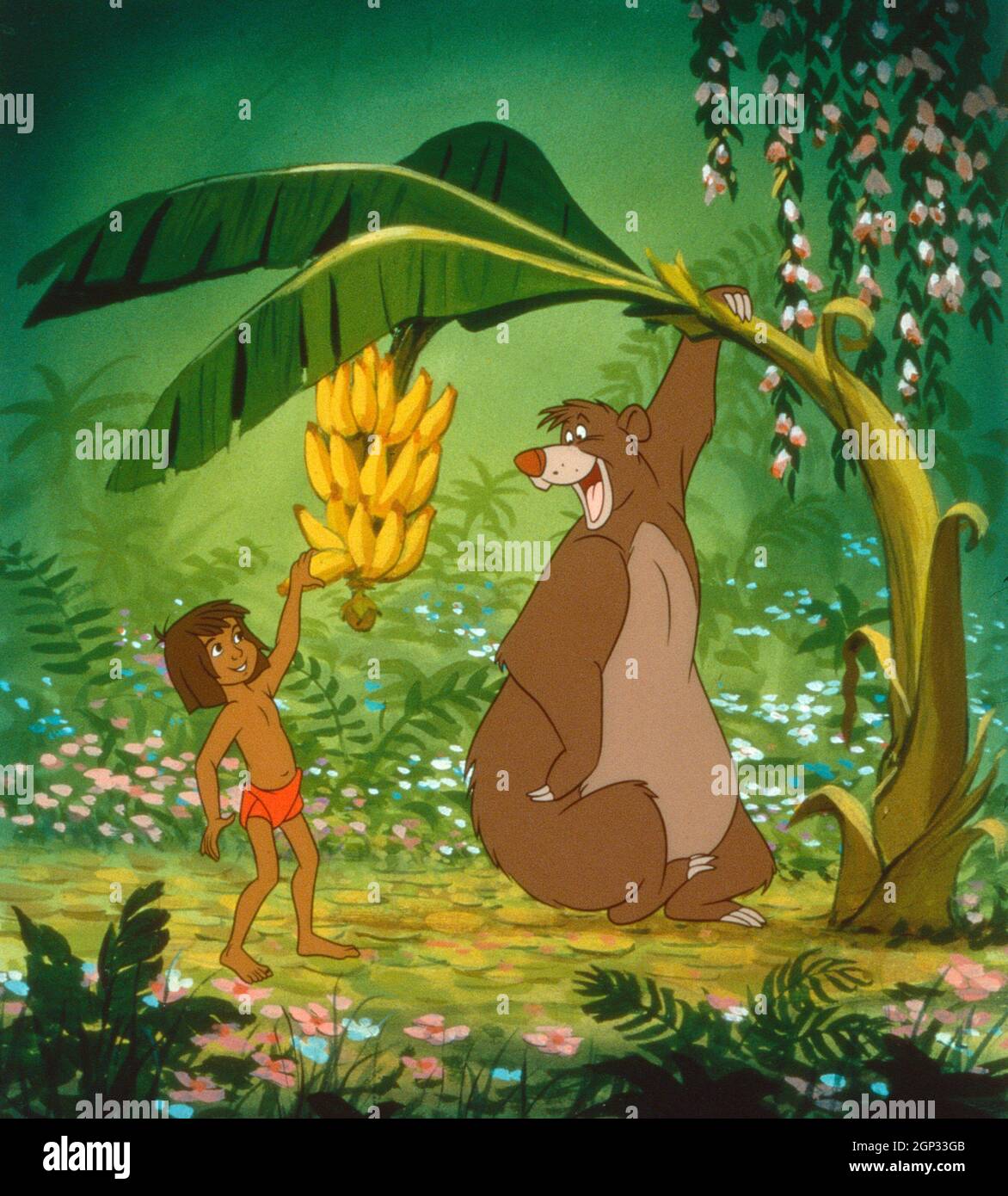 IL LIBRO DELLA GIUNGLA, da sinistra: Mowgli, Baloo, 1967. © Walt Disney  Pictures /courtesy Everett Collection Foto stock - Alamy