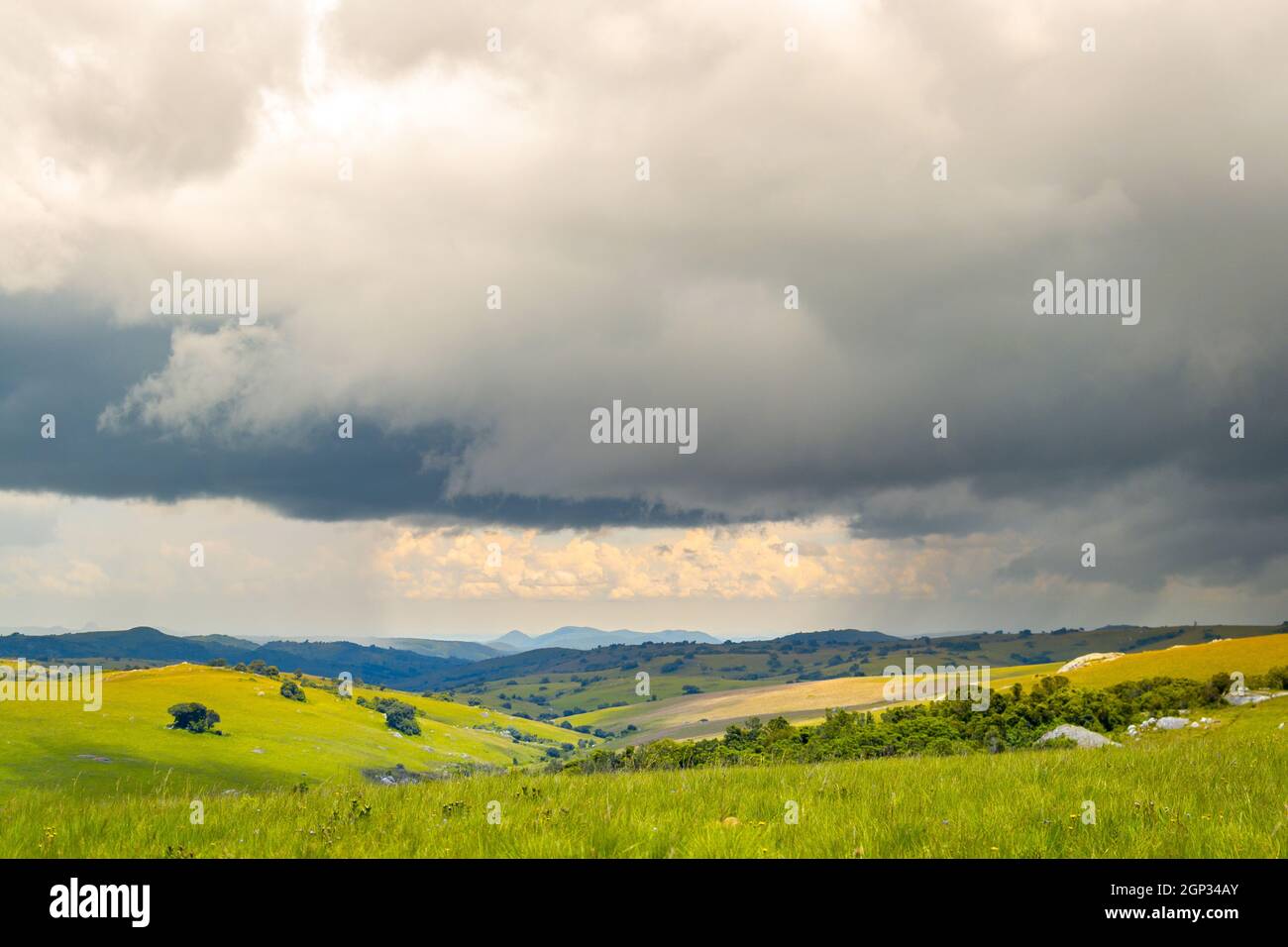 Paesaggio suggestivo e colline ondulate sotto le nuvole di tuono nel Parco Nazionale di Nyika in Malawi, Africa Foto Stock