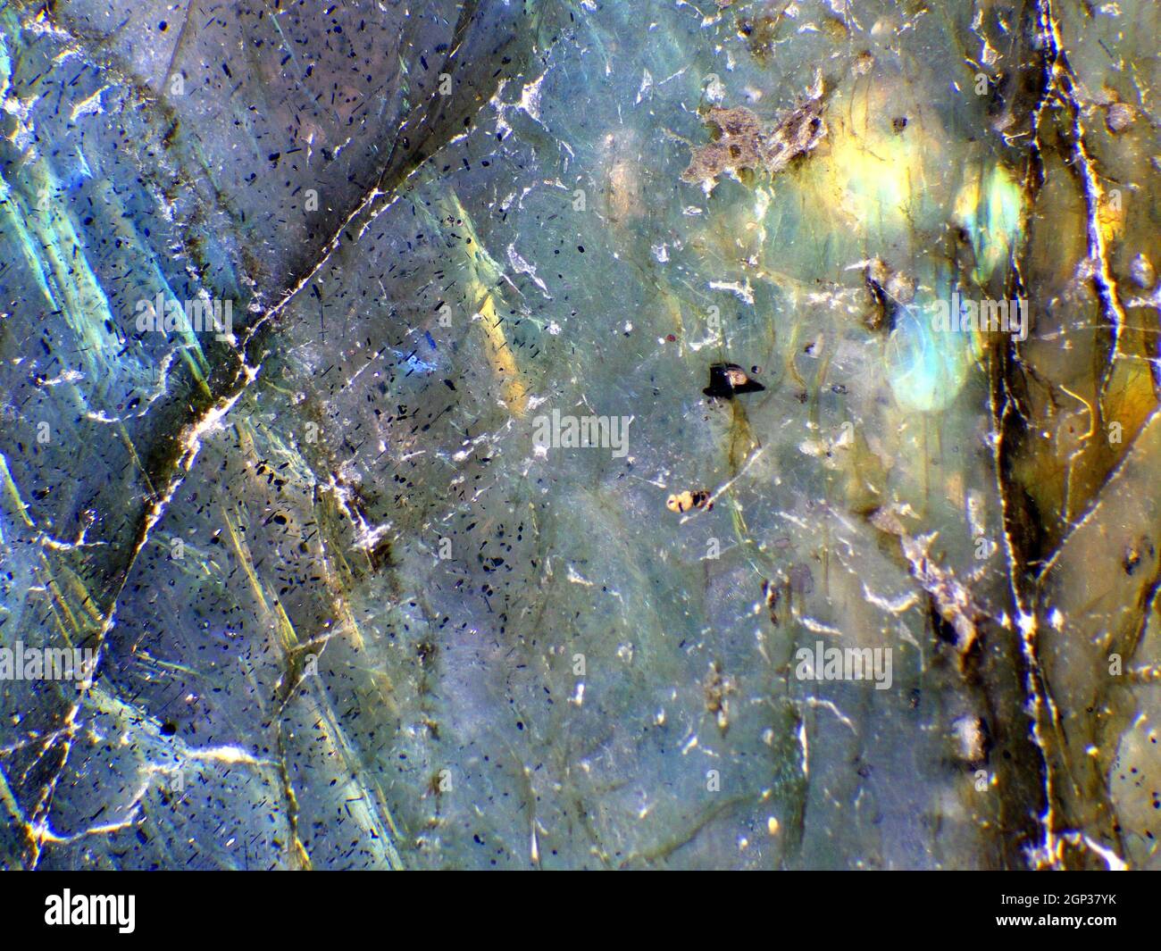 Labradorite con schiller in una macro Foto Stock