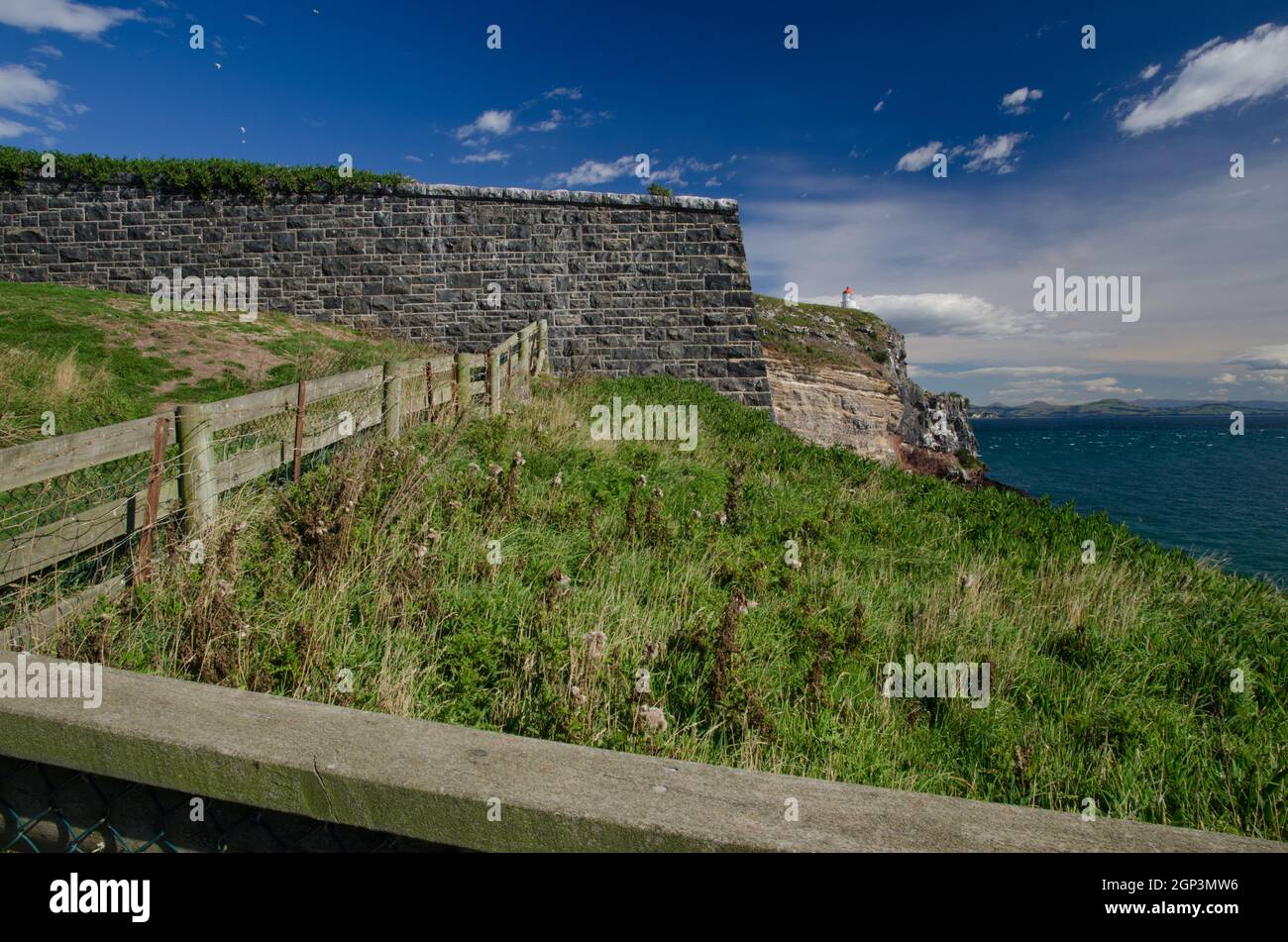 Paesaggio nella riserva naturale di Taiaroa Head. Penisola di Otago. Otago. Isola Sud. Nuova Zelanda. Foto Stock