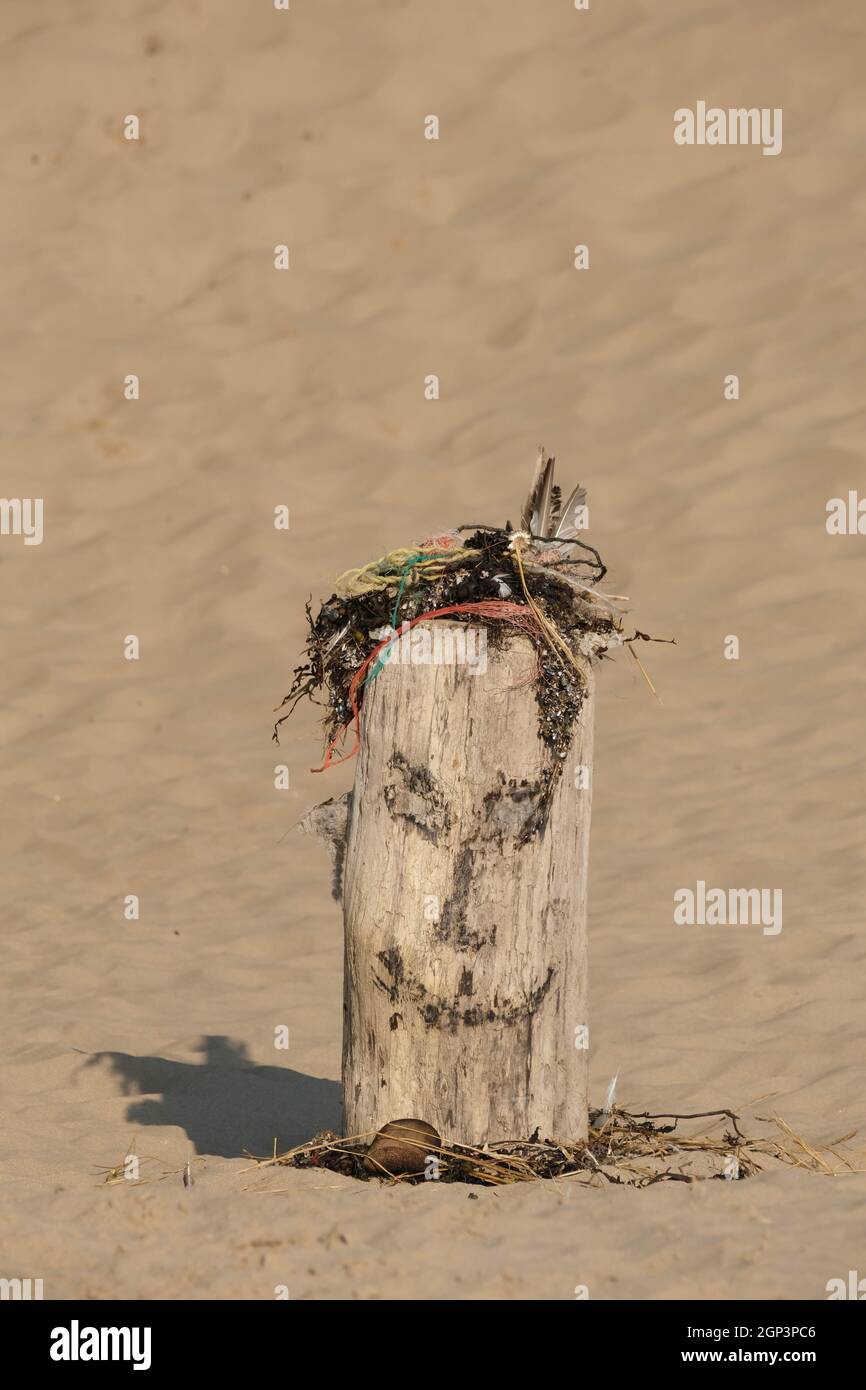 Una sutura di testa e faccia fatta di oggetti trovati sulla spiaggia raffigurata su uno sfondo di sabbia. Foto Stock