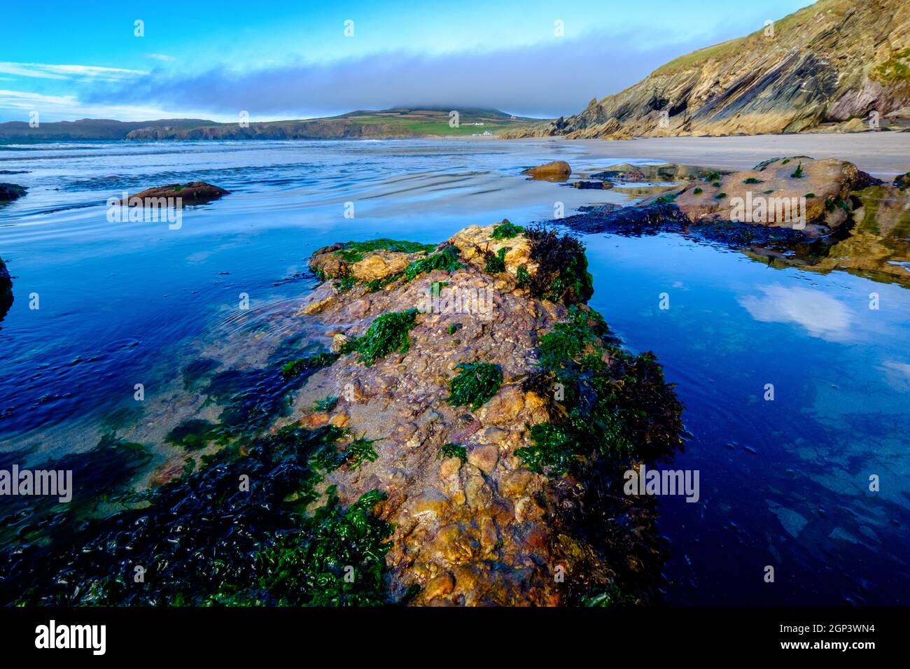 Whitesands, una famosa spiaggia sabbiosa sulla penisola di St Davids, nel Galles occidentale. REGNO UNITO Foto Stock