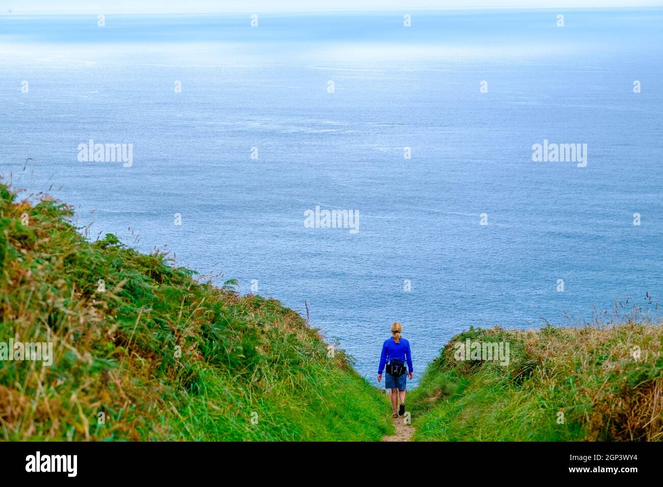 Camminatore femminile sul Pembrokeshire / Wales Coast Path, con il mare al di là Foto Stock