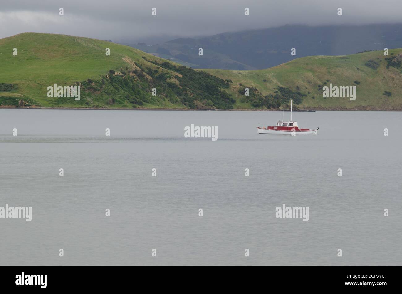 Yacht nel porto di Otago. Penisola di Otago. Otago. Isola Sud. Nuova Zelanda. Foto Stock