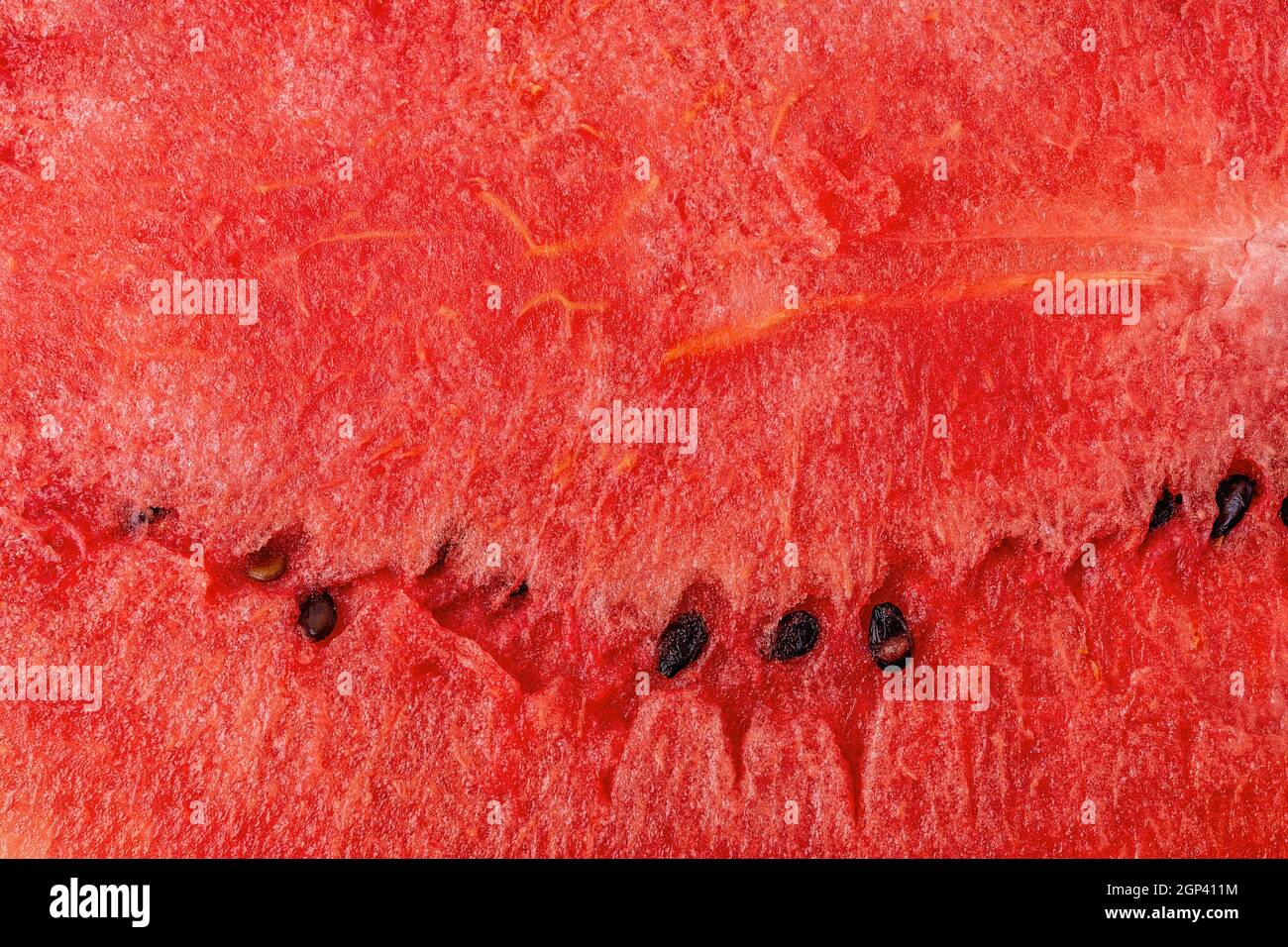 Dolce succulento sfondo macro di cocomero. Primo piano di cocomero rosso maturo appena tagliato con semi scuri. Consistenza di deliziosa polpa di melone d'acqua biologica. Foto Stock