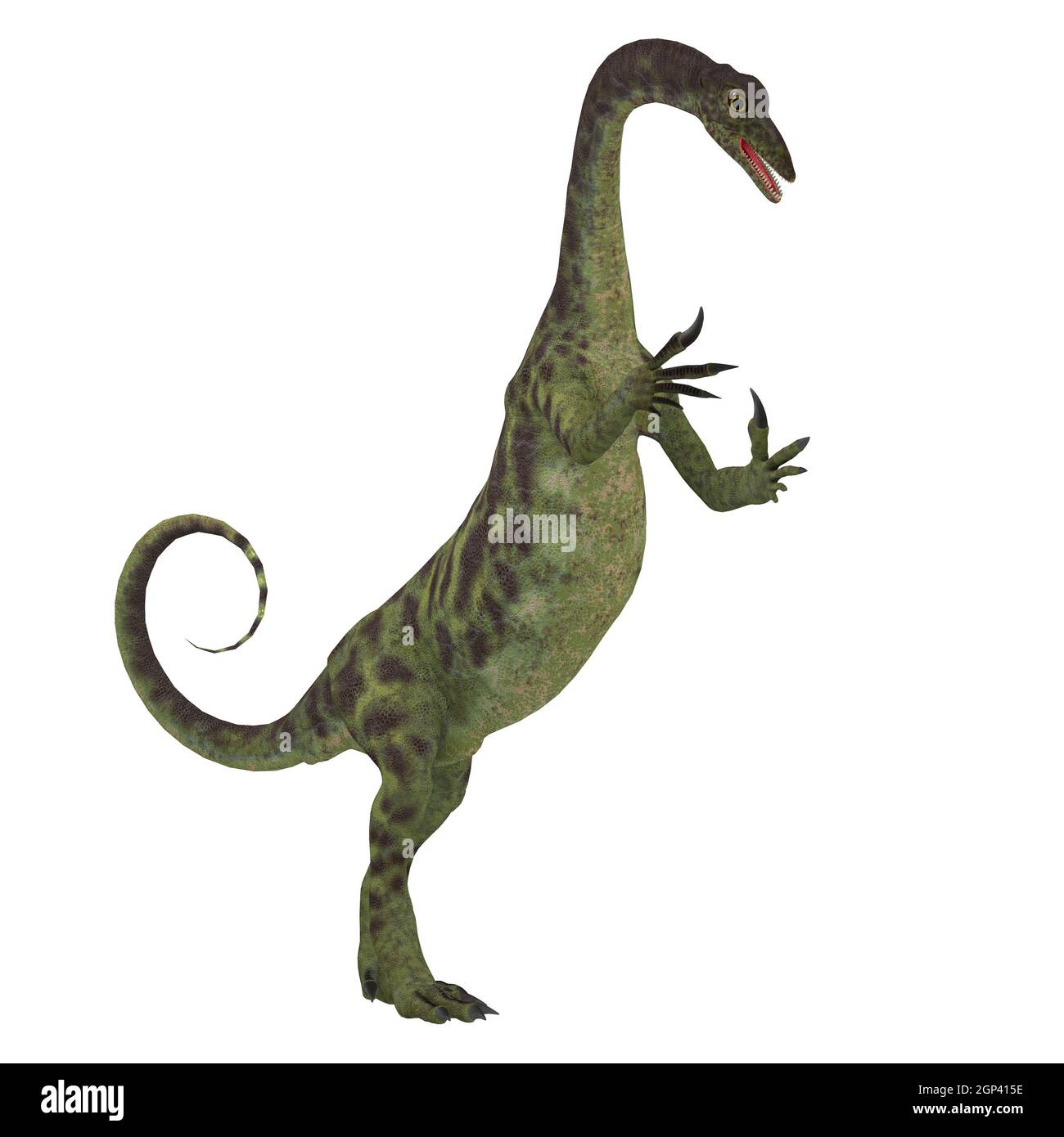 Anchisaurus era un onnivoro prosauropod dinosaur che visse nel Giurassico periodi di Nord America, Europa e Africa. Foto Stock