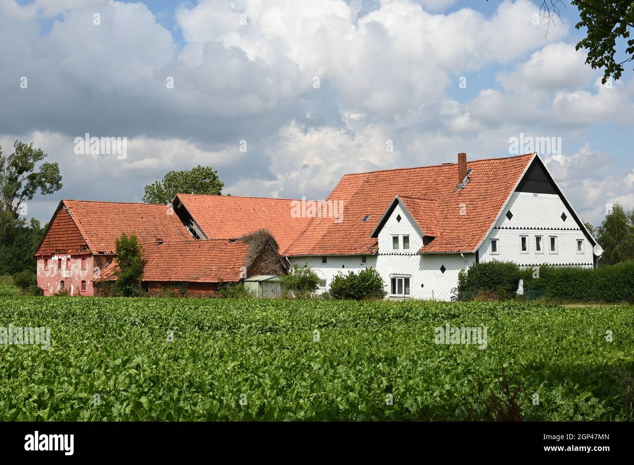 Fattoria con un edificio inutilizzato, lentamente decadente stabile Foto Stock