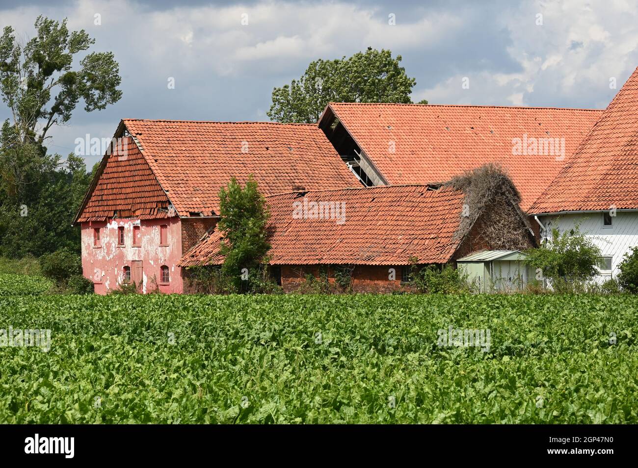 Fattoria con un edificio inutilizzato, lentamente decadente stabile Foto Stock