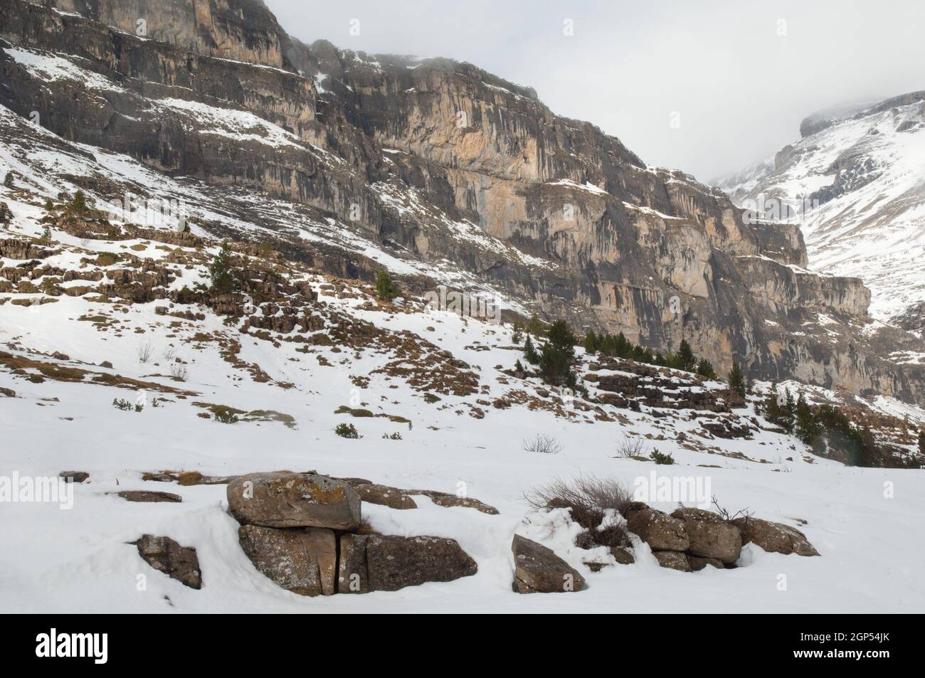 Valle di Ordesa nel Parco Nazionale di Ordesa e Monte Perdido. Pirenei. Huesca. Aragona. Spagna. Foto Stock