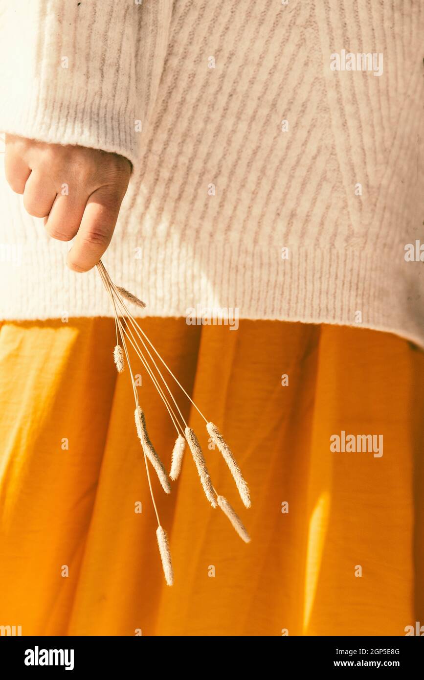 Donna in gonna arancione giallo che tiene le guglie secche nelle sue mani primo piano, concetto di autunno e stagione di raccolta Foto Stock