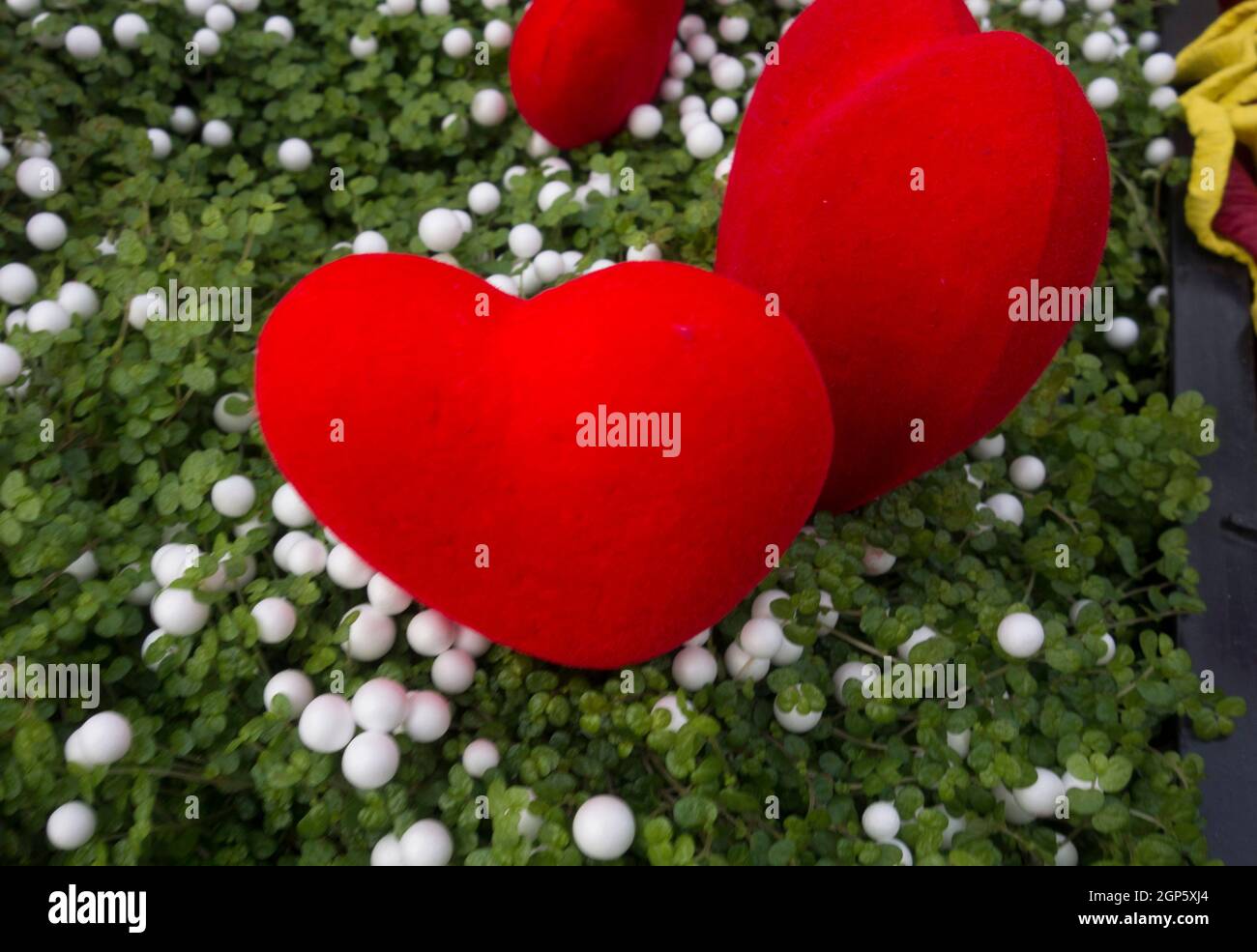 cuori e fiori nel giorno dei valentini, celebrazione del romanticismo e dell'amore Foto Stock