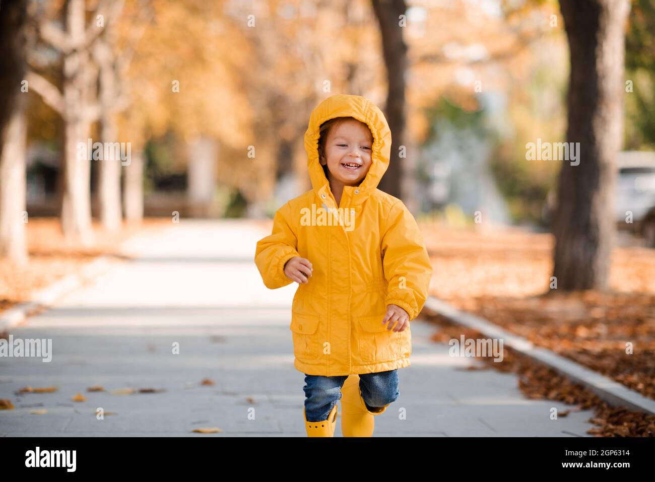 Bella ragazza divertente bambino 2-3 anni indossare giallo impermeabile luminoso, stivali di gomma a piedi nel parco sopra le foglie cadute all'aperto. Stagione autunnale. Felice bambino oltre Foto Stock