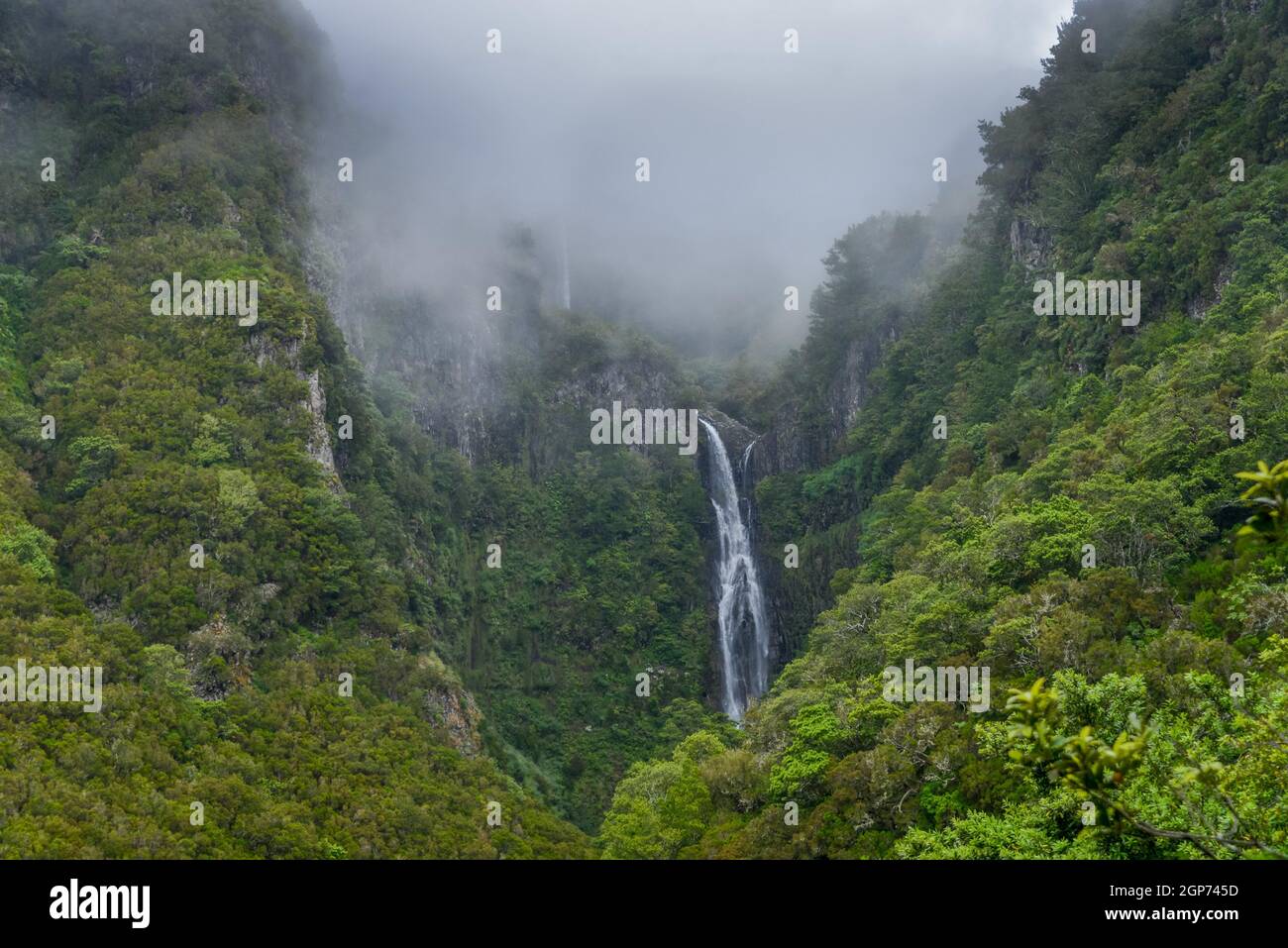 Cascate di Risco, Valle di Rabacal, Montagne centrali, Madeira, Portogallo Foto Stock