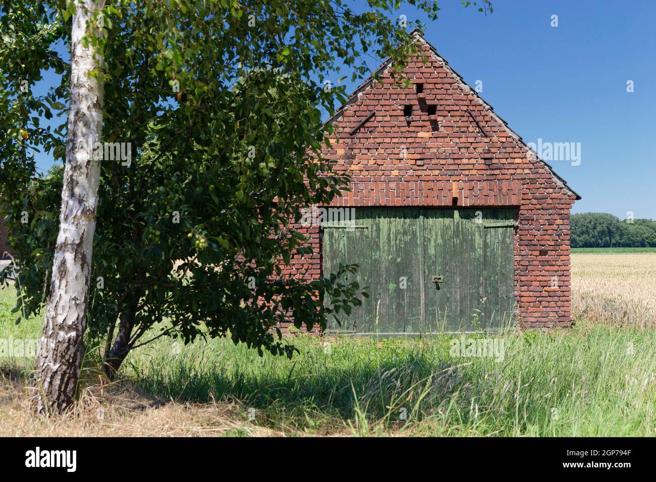 Capannone di stoccaggio, Wachtendonk, distretto di Kleve, Renania settentrionale-Vestfalia, Germania Foto Stock