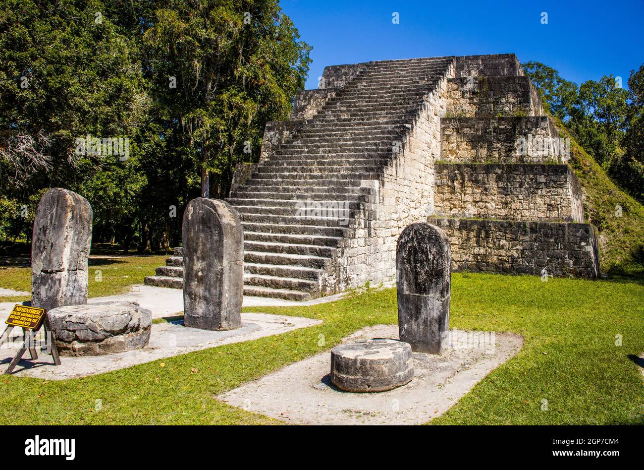 Complesso Q con doppia piramide, stele e altari di fronte, città in rovina maya, Tikal, Guatemala Foto Stock